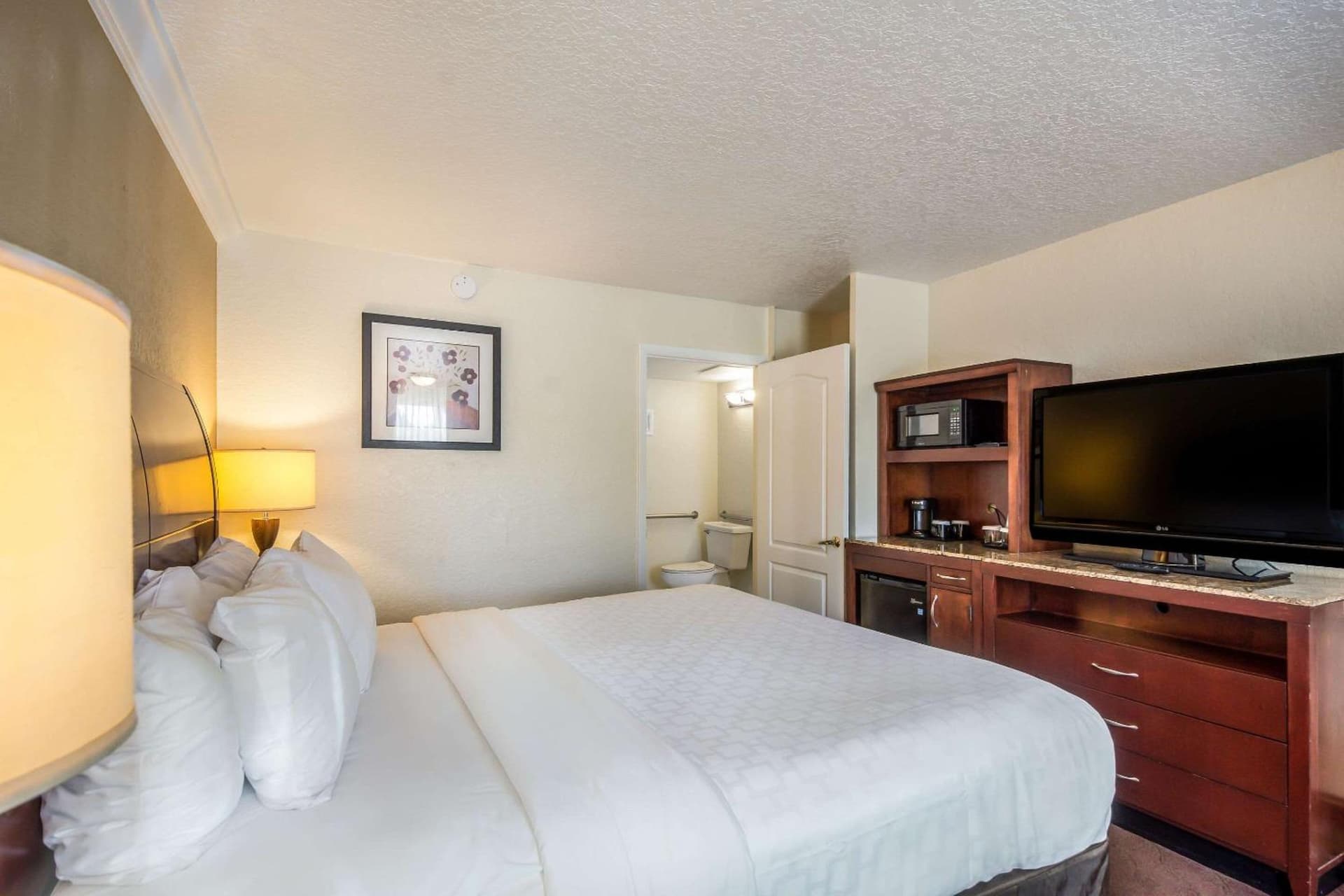Clarion Inn & Suites Central Clearwater Beach gallery photo in Clearwater, FL — image 36