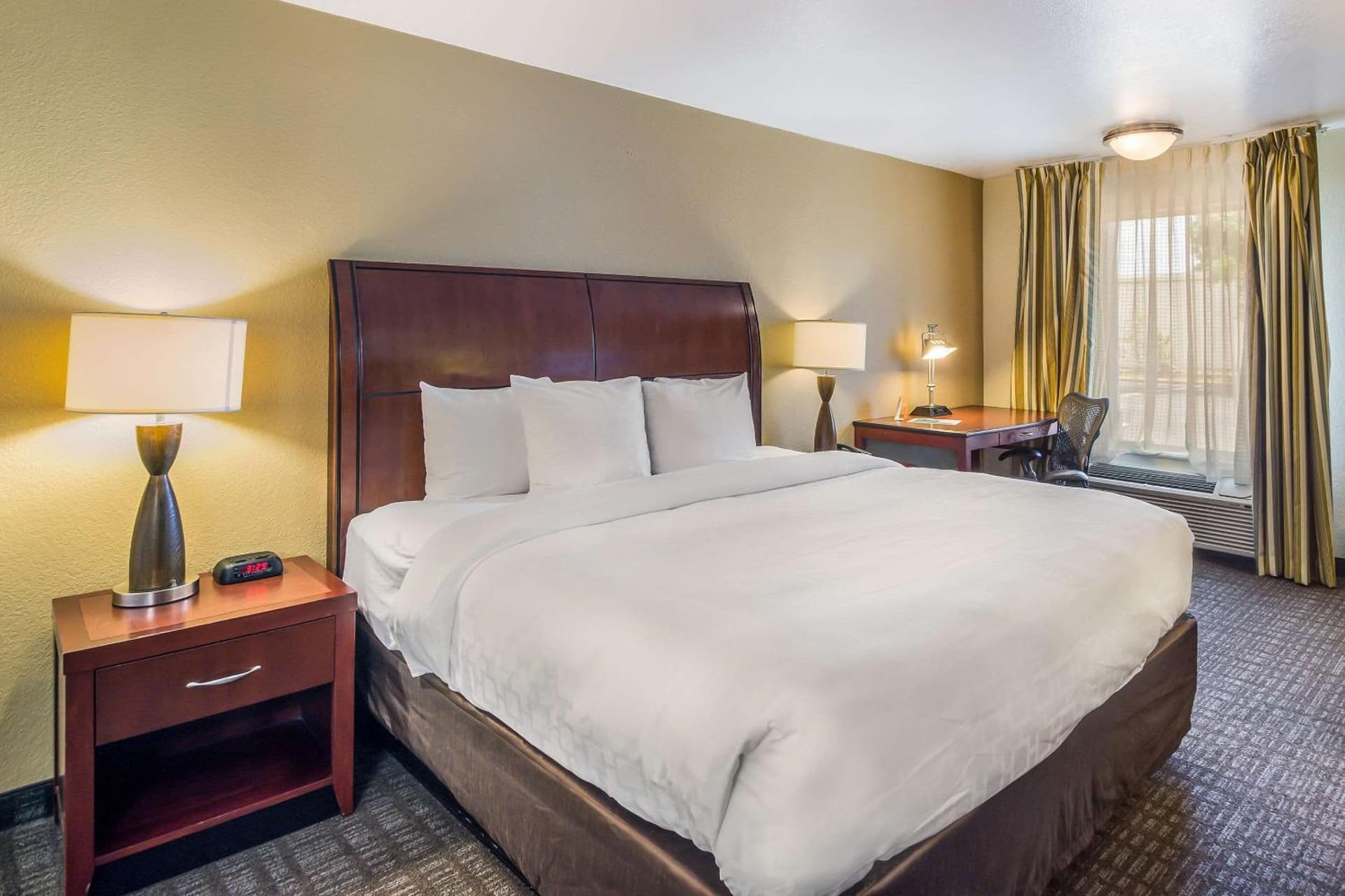 Clarion Inn & Suites Central Clearwater Beach gallery photo in Clearwater, FL — image 64