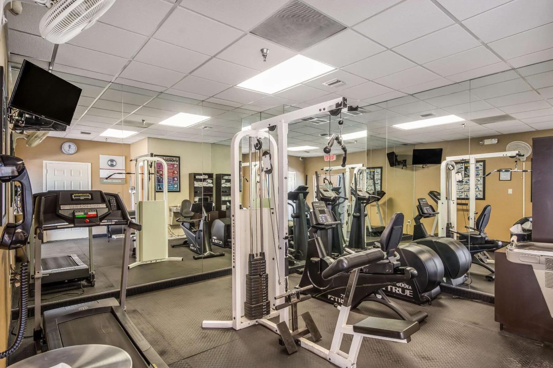 Clarion Inn & Suites Central Clearwater Beach gallery photo in Clearwater, FL — image 78