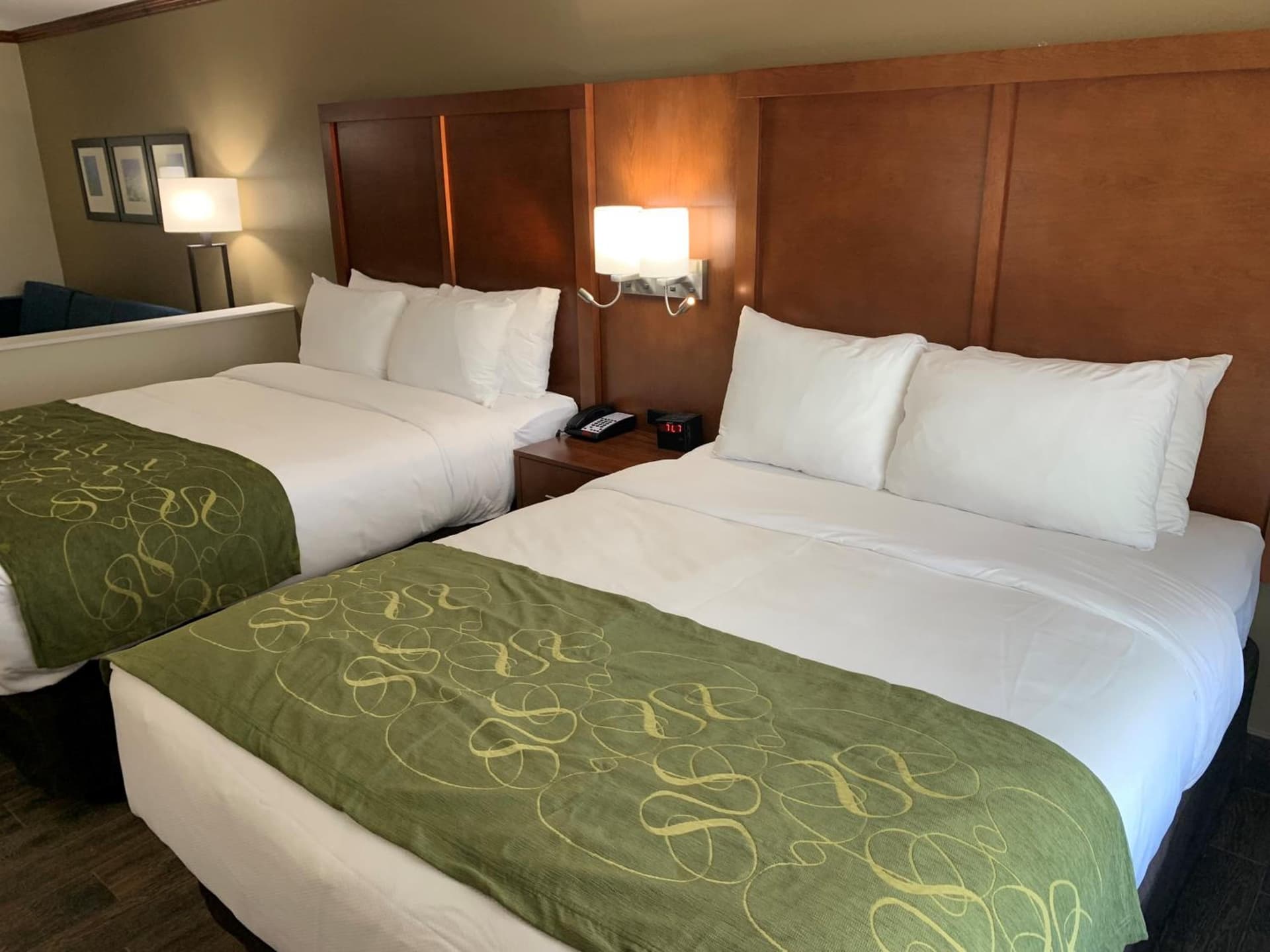 Comfort Suites West Monroe near Ike Hamilton Expo Center gallery photo in West Monroe, LA — image 7