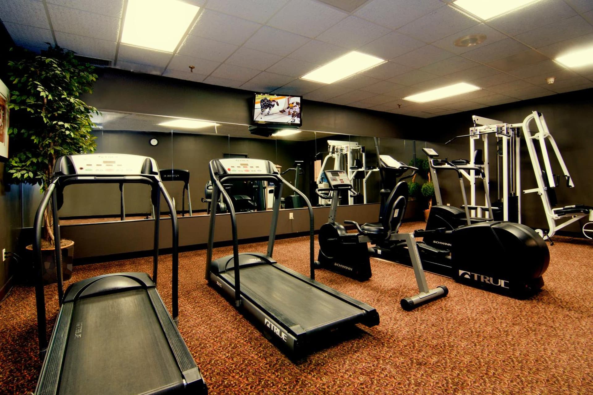 Centerstone Plaza Hotel Soldiers Field - Mayo Clinic Area gallery photo in Rochester, MN — image 20