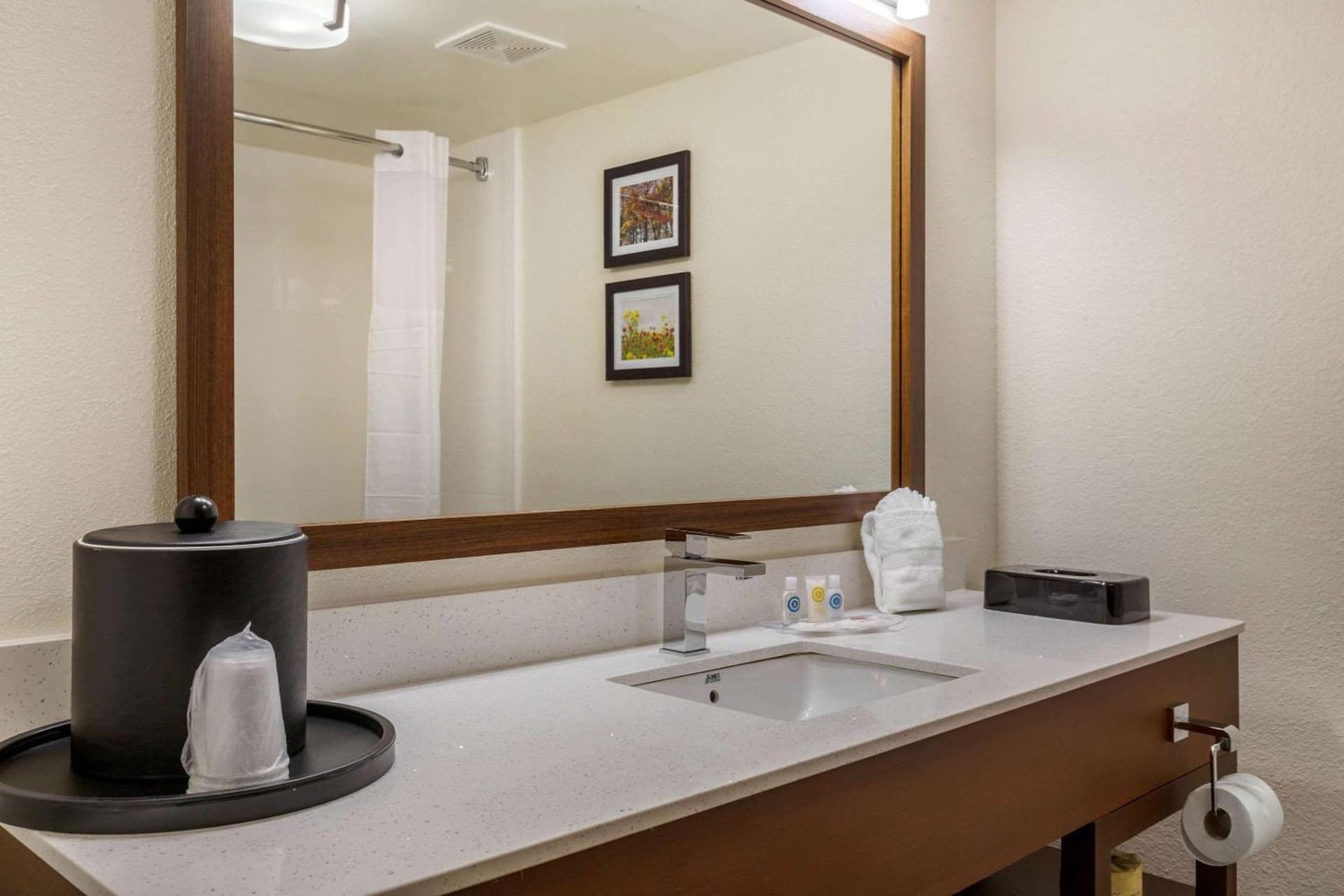 Comfort Suites Hanes Mall gallery photo in Winston-Salem, NC — image 21