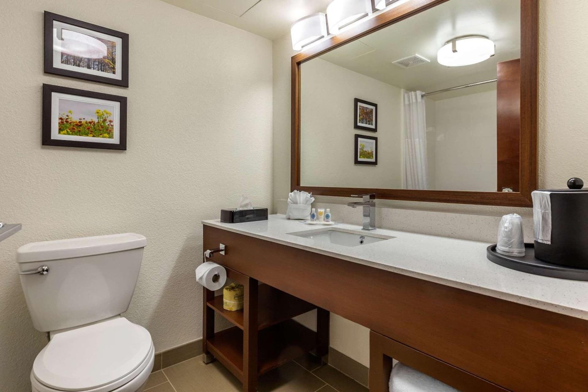Comfort Suites Hanes Mall gallery photo in Winston-Salem, NC — image 32