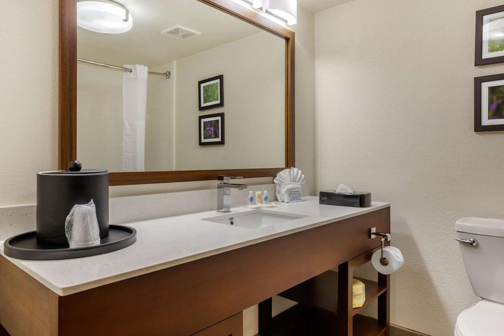 Comfort Suites Hanes Mall gallery photo in Winston-Salem, NC — image 30