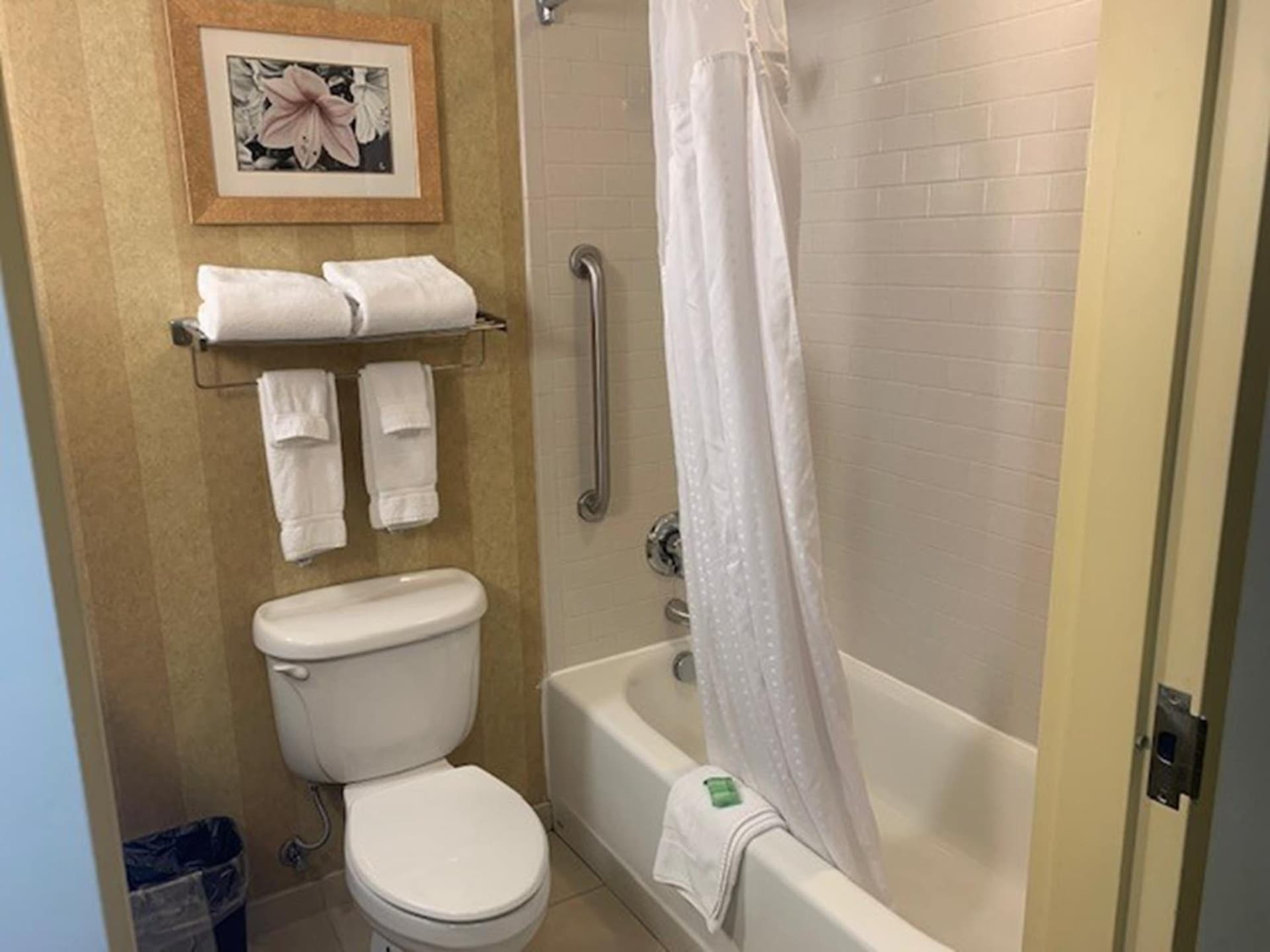 Holiday Inn Saint Louis-Fairview Heights by IHG gallery photo in Fairview Heights, IL — image 35