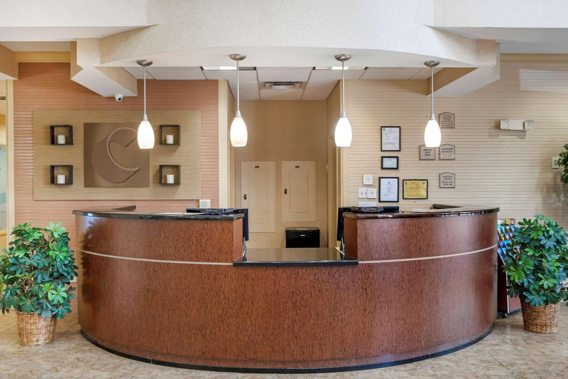 Comfort Suites Fredericksburg North gallery photo in Fredericksburg, VA — image 93