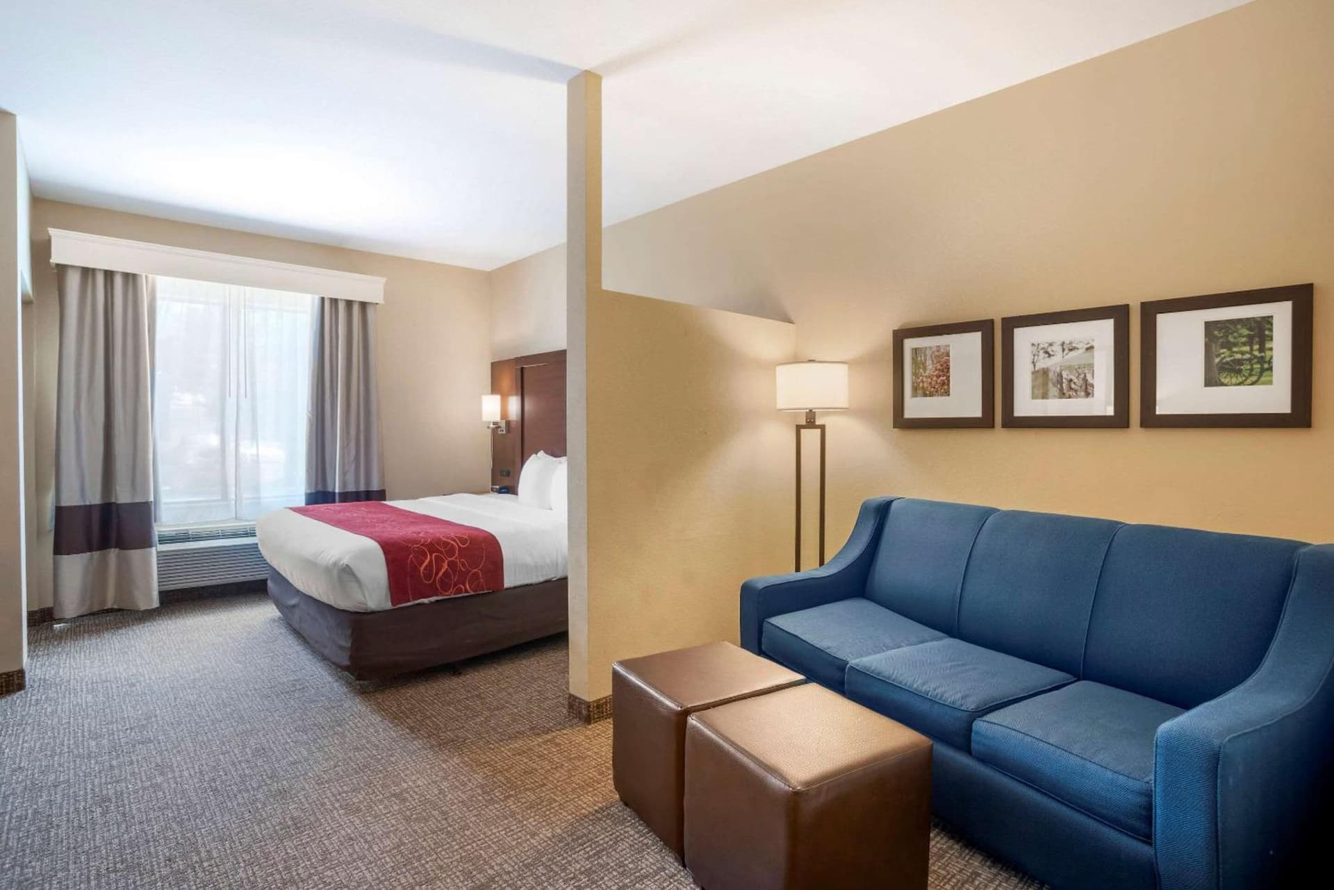 Comfort Suites Fredericksburg North gallery photo in Fredericksburg, VA — image 61