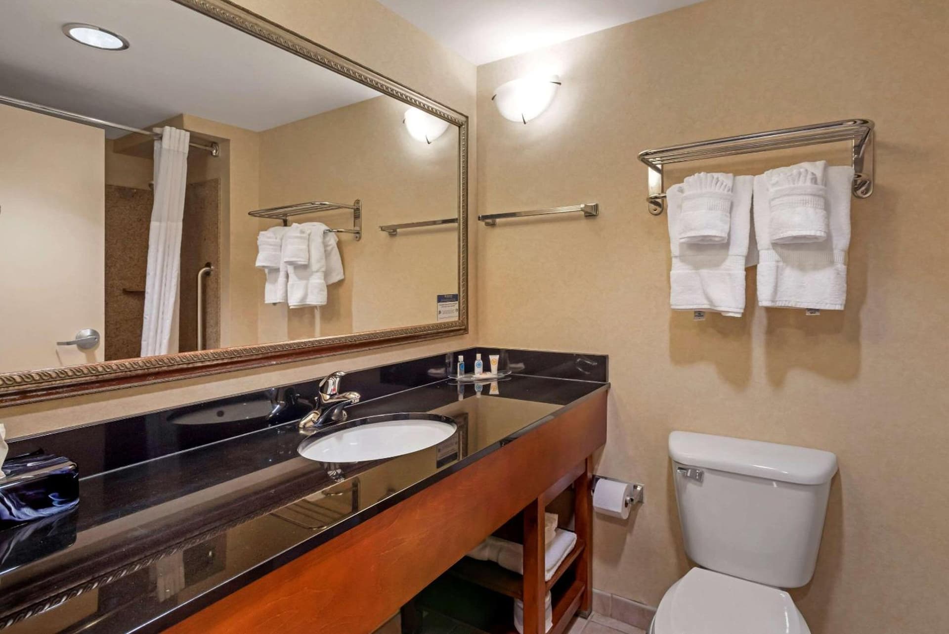 Comfort Suites Fredericksburg North gallery photo in Fredericksburg, VA — image 18