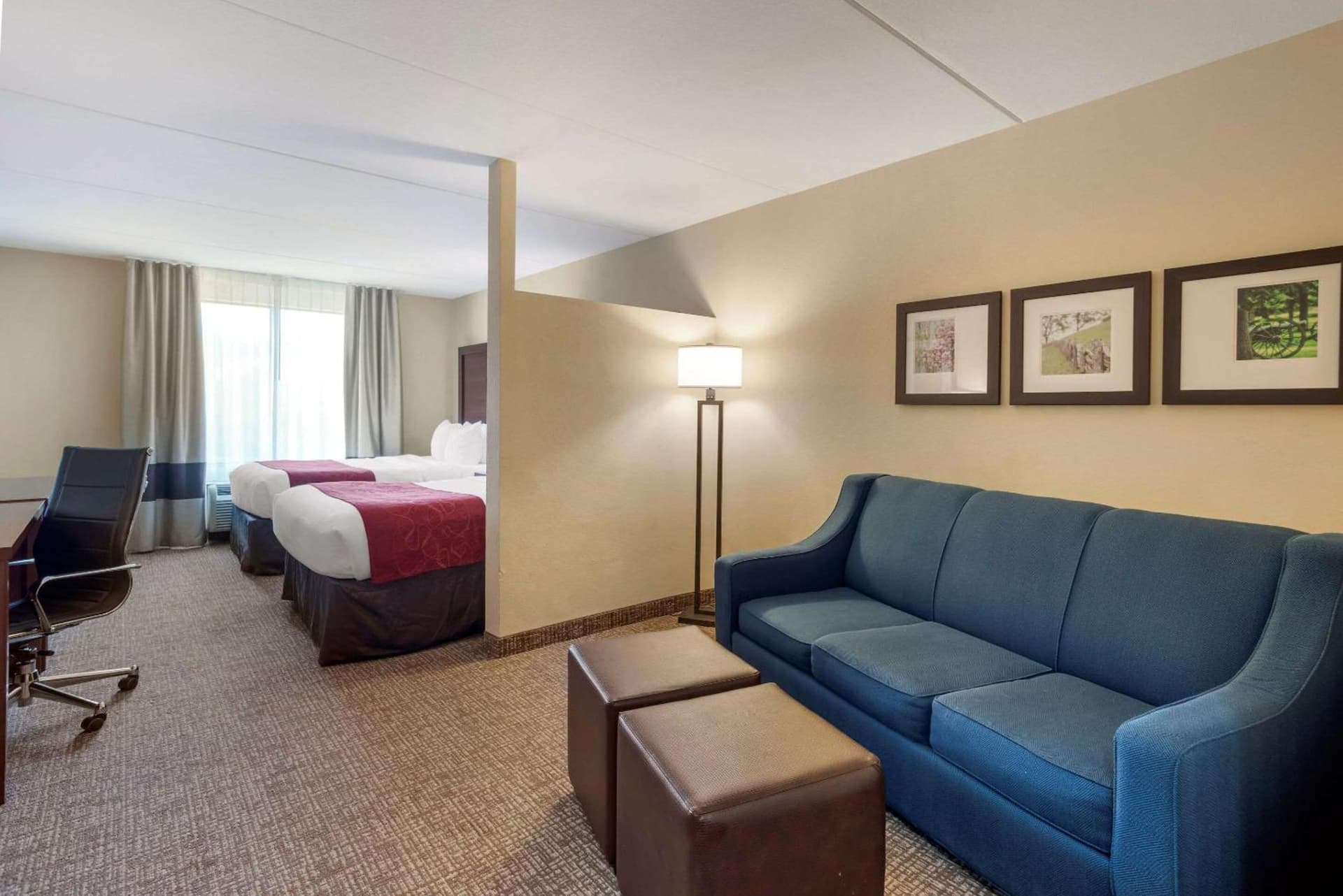 Comfort Suites Fredericksburg North gallery photo in Fredericksburg, VA — image 31