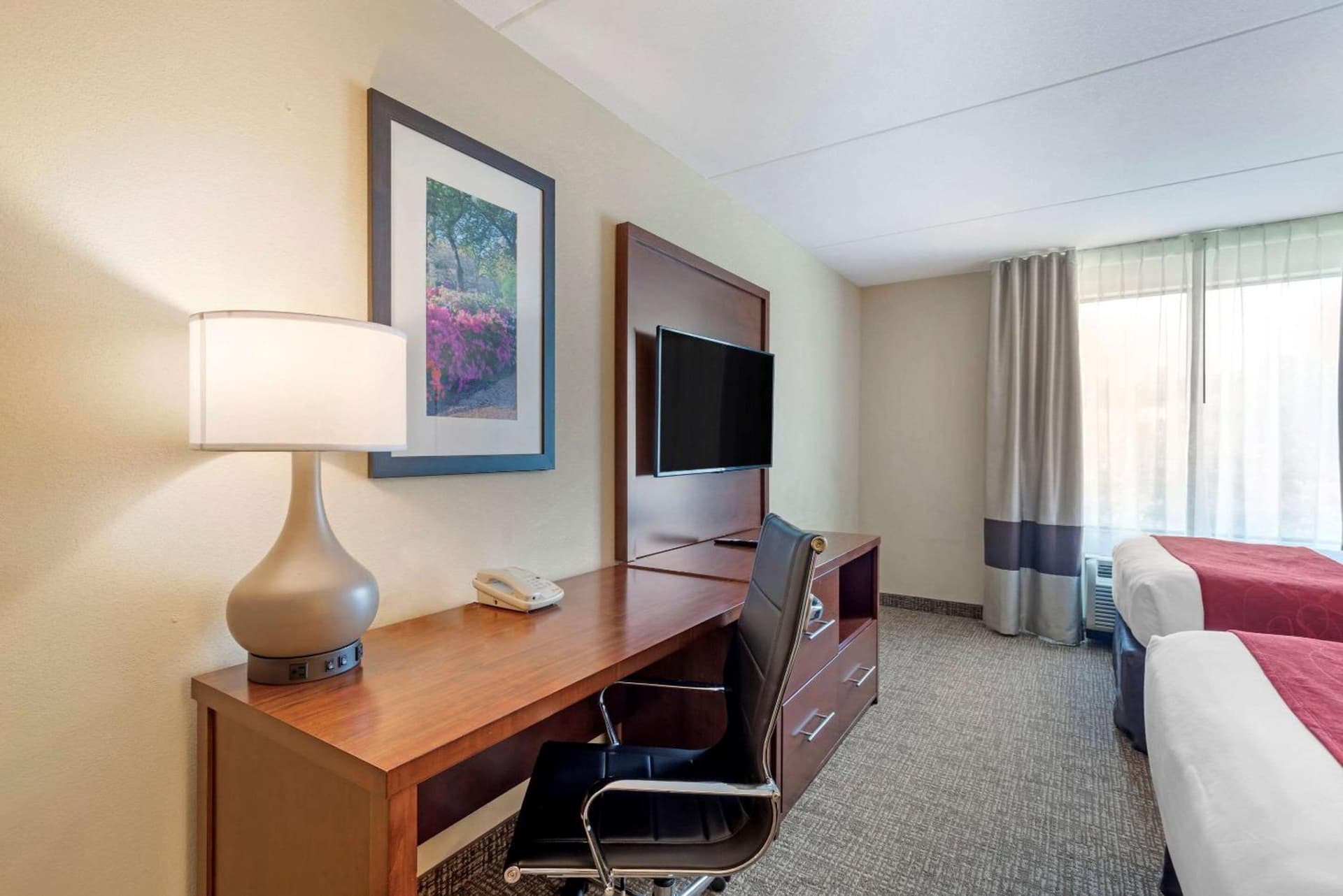 Comfort Suites Fredericksburg North gallery photo in Fredericksburg, VA — image 97