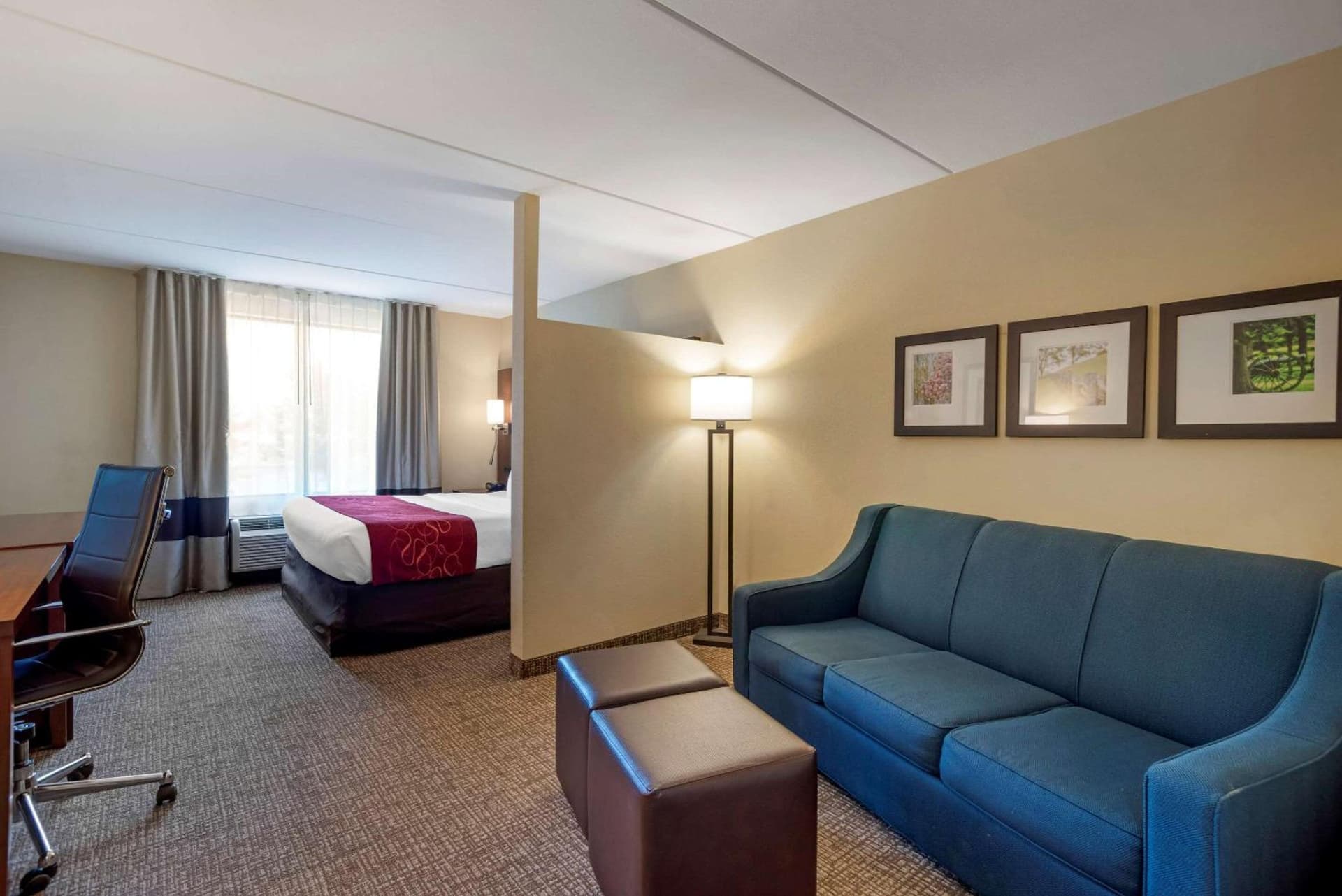 Comfort Suites Fredericksburg North gallery photo in Fredericksburg, VA — image 38