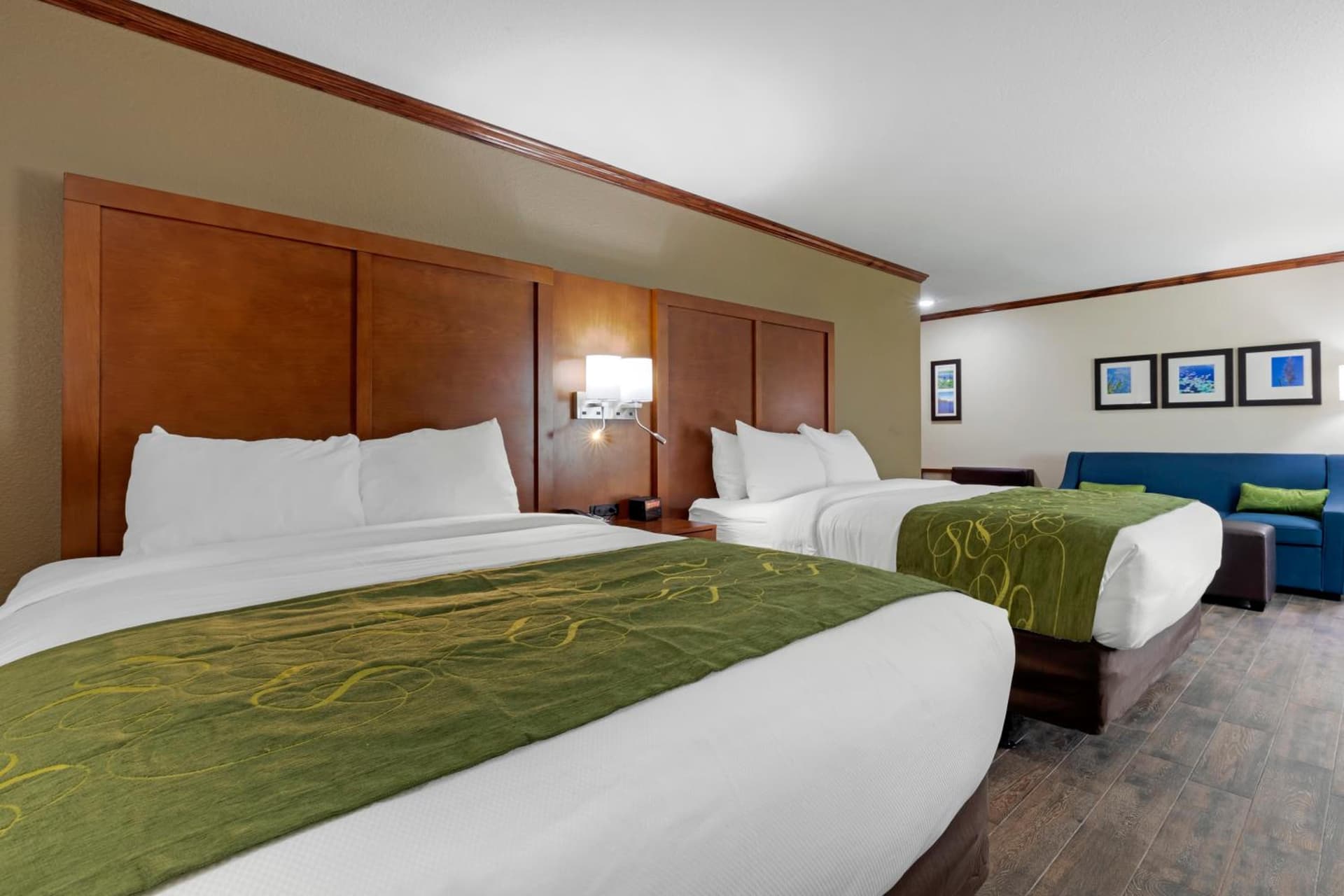 Comfort Suites West Monroe near Ike Hamilton Expo Center gallery photo in West Monroe, LA — image 32