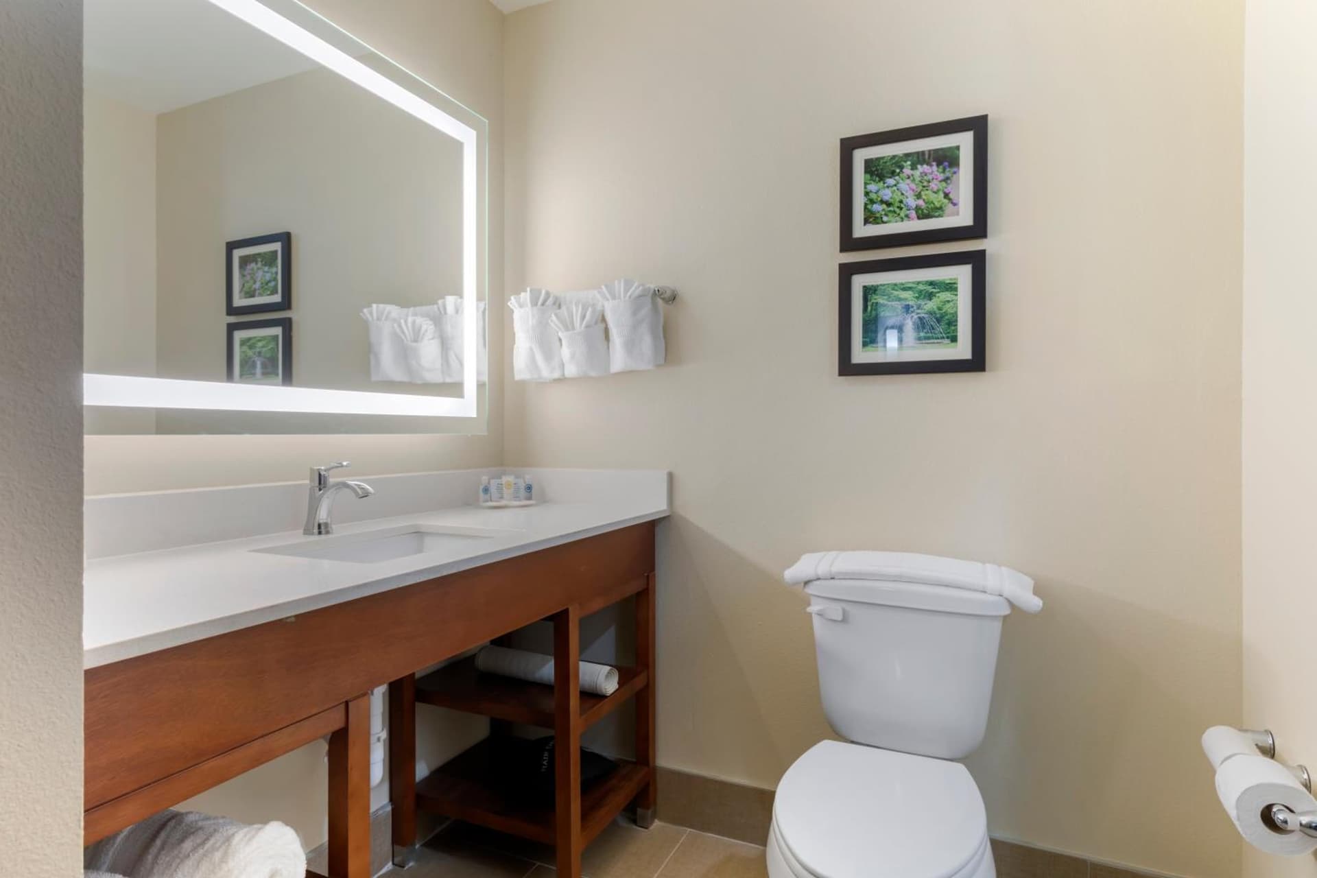 Comfort Suites West Monroe near Ike Hamilton Expo Center gallery photo in West Monroe, LA — image 14