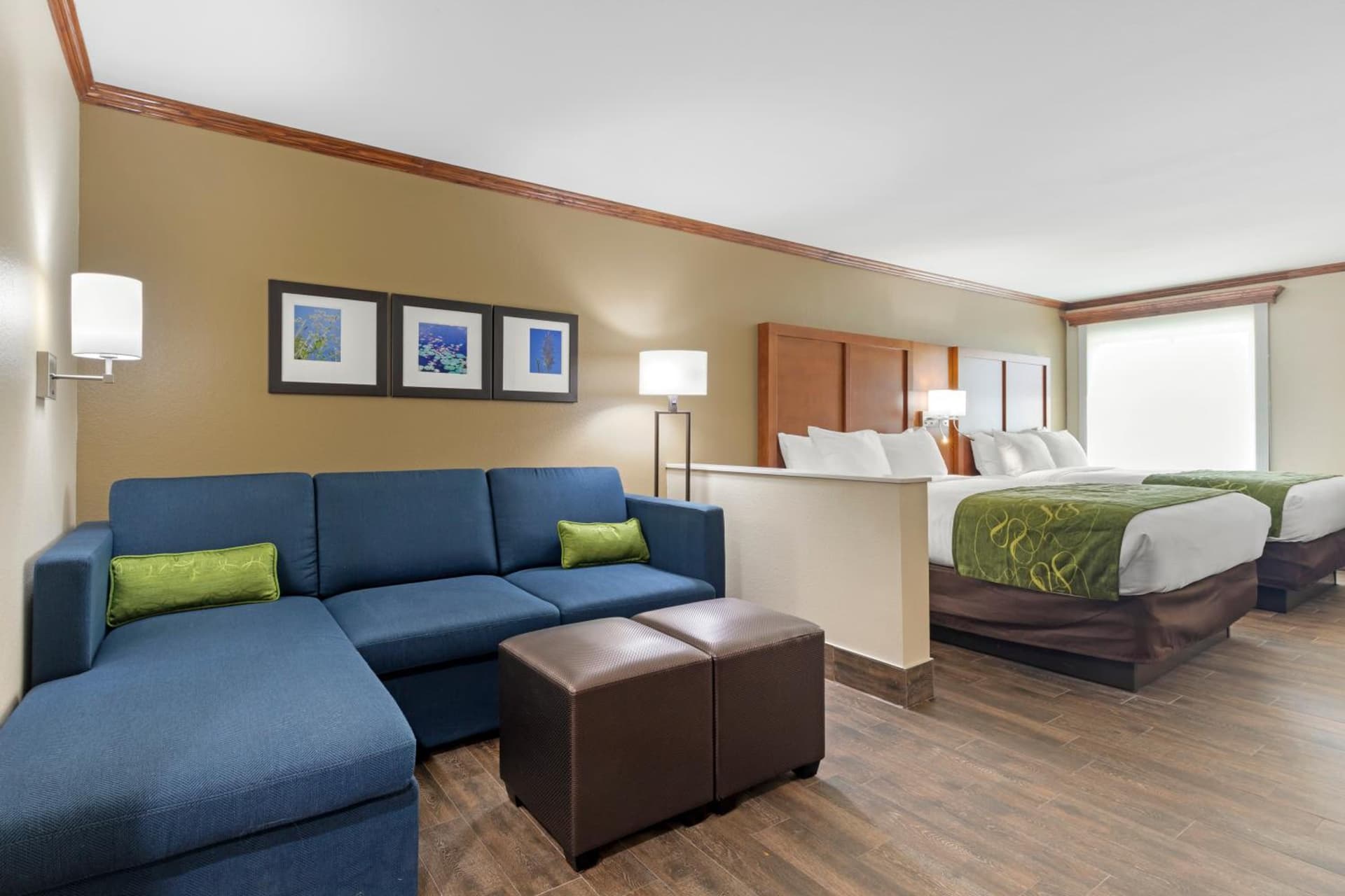 Comfort Suites West Monroe near Ike Hamilton Expo Center gallery photo in West Monroe, LA — image 13