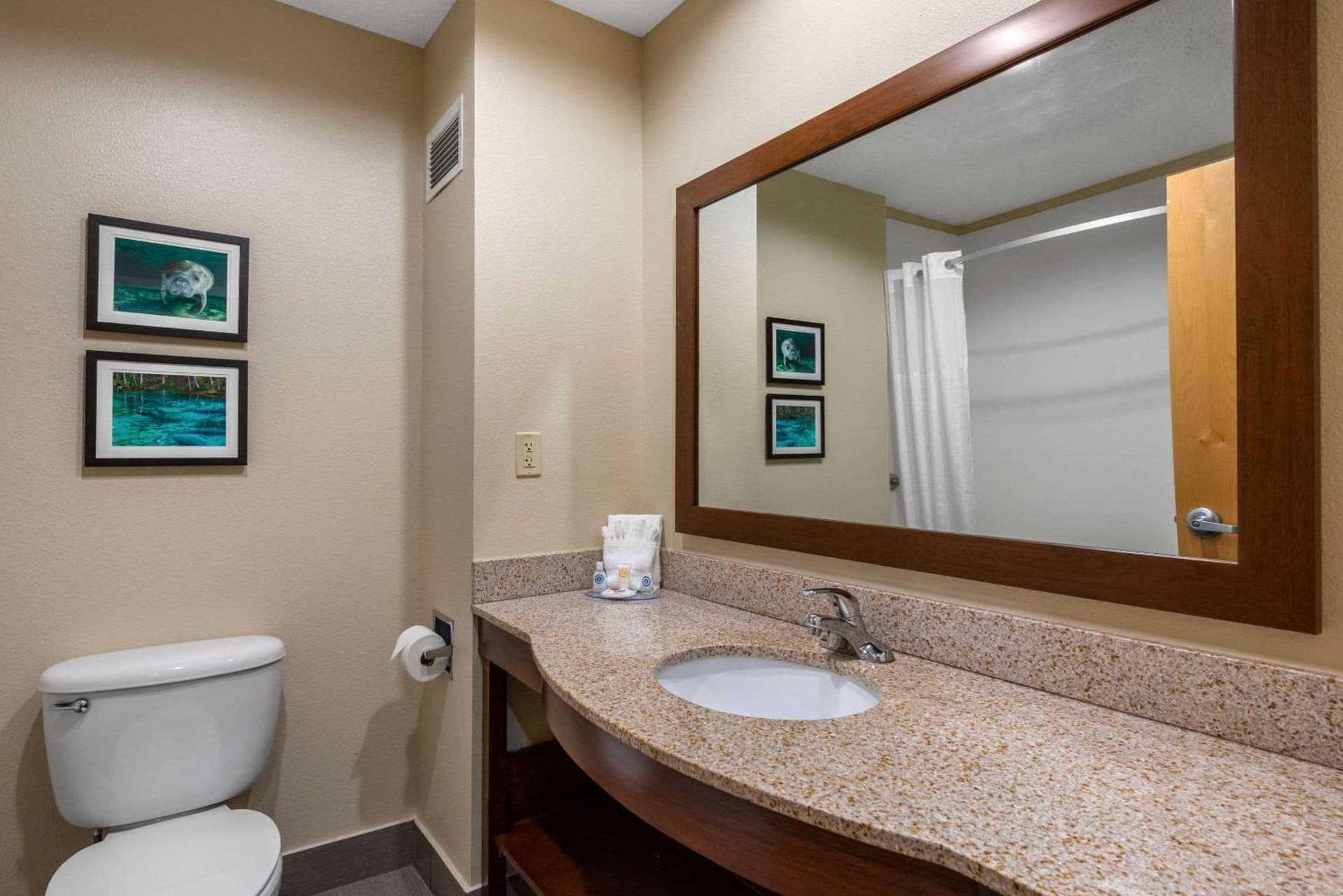 Comfort Inn & Suites Wildwood - The Villages gallery photo in Wildwood, FL — image 9