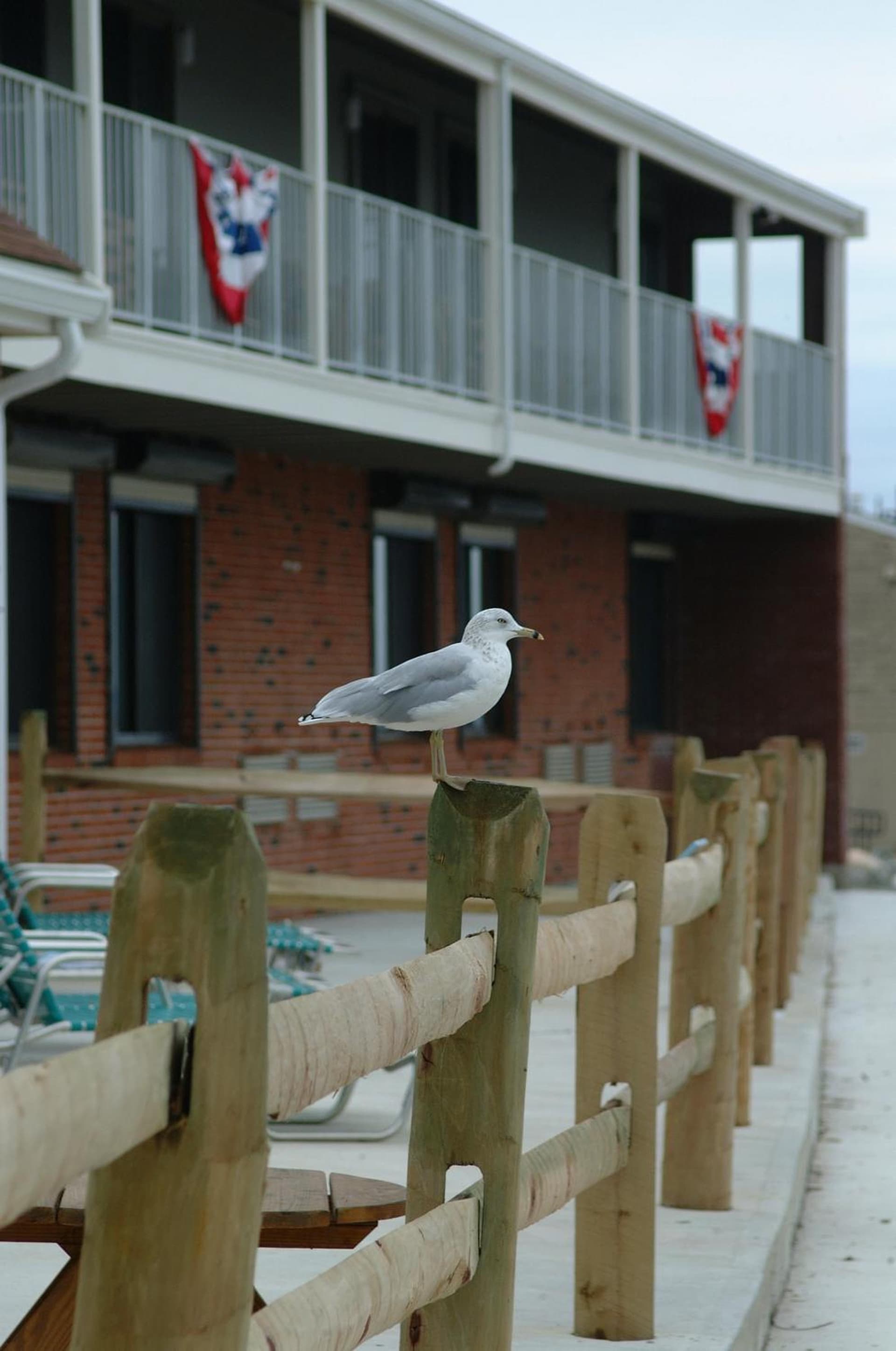 Pilgrim Sands on Long Beach gallery photo in Plymouth, MA — image 4