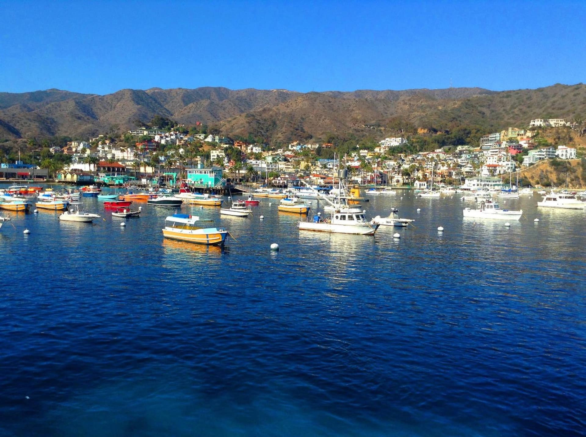 Aurora Hotel property views in Avalon, CA — gallery photo 3