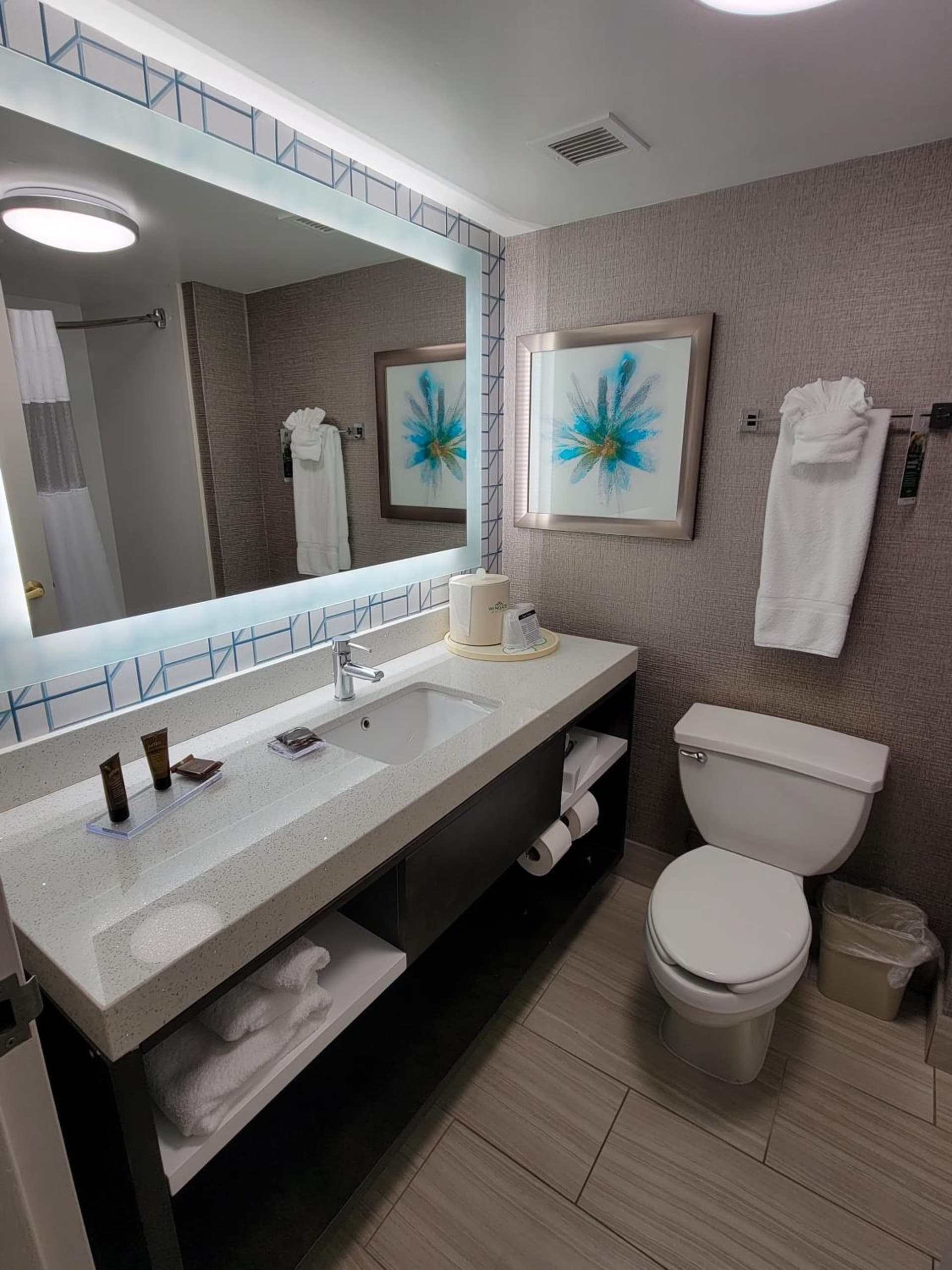 Wingate by Wyndham Greenville Airport gallery photo in Greenville, SC — image 19
