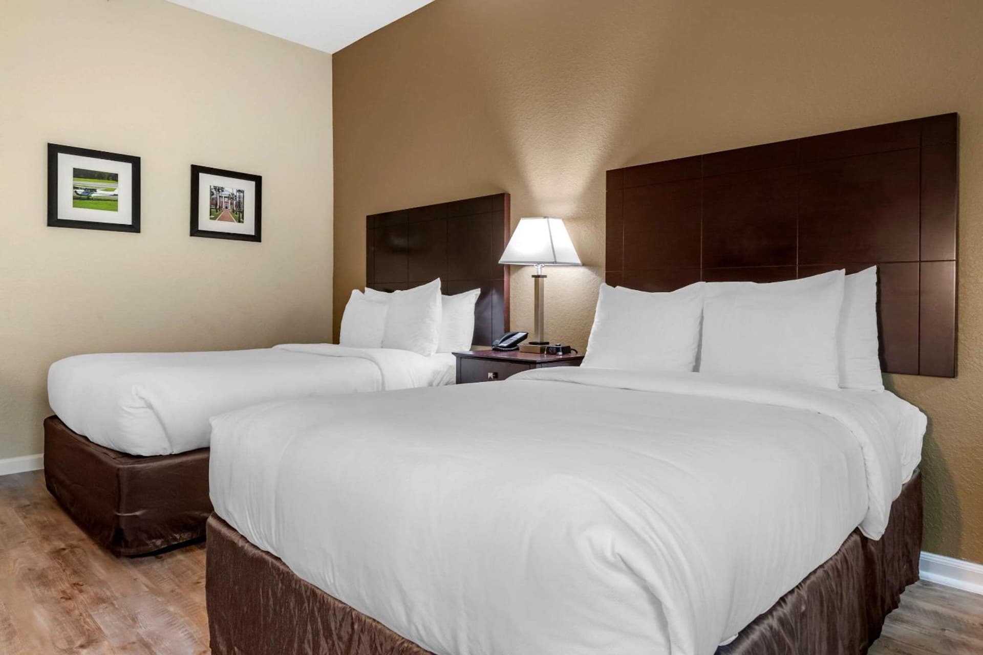 Comfort Inn & Suites DeLand - near University gallery photo in DeLand, FL — image 34