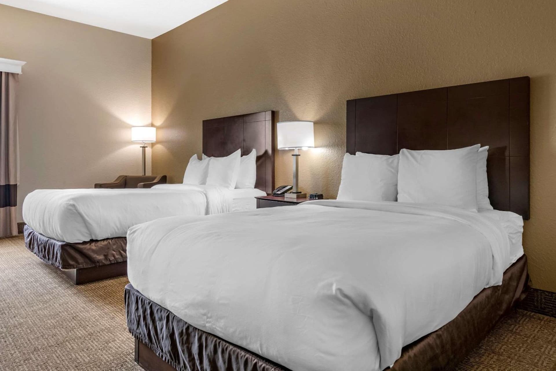 Comfort Inn & Suites DeLand - near University gallery photo in DeLand, FL — image 28