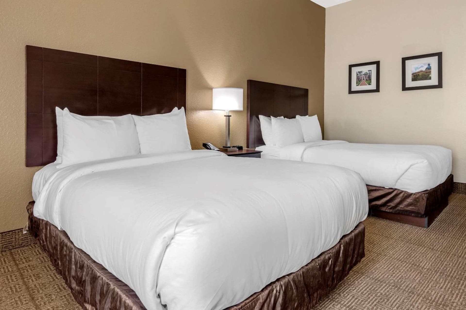 Comfort Inn & Suites DeLand - near University gallery photo in DeLand, FL — image 7