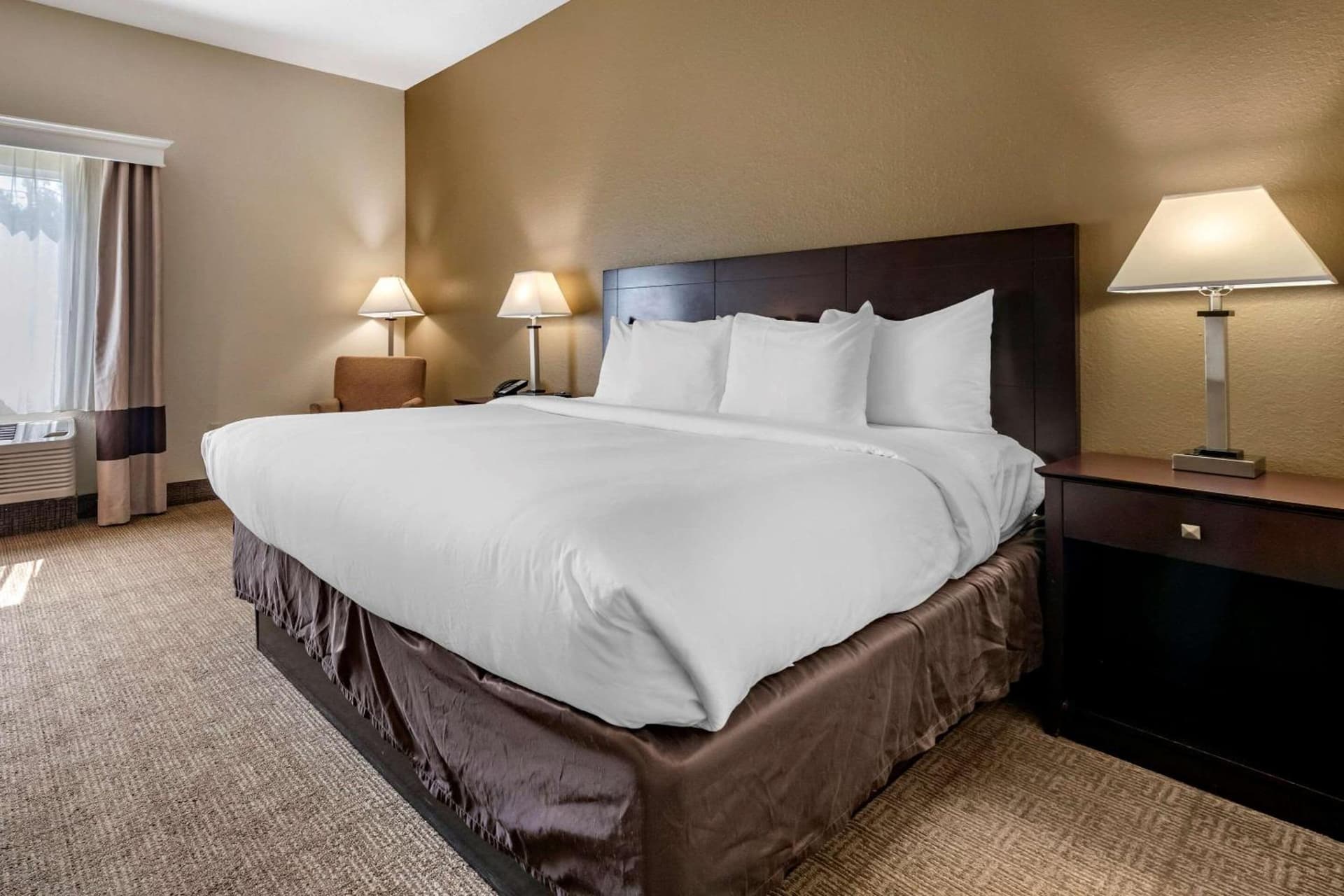 Comfort Inn & Suites DeLand - near University gallery photo in DeLand, FL — image 25