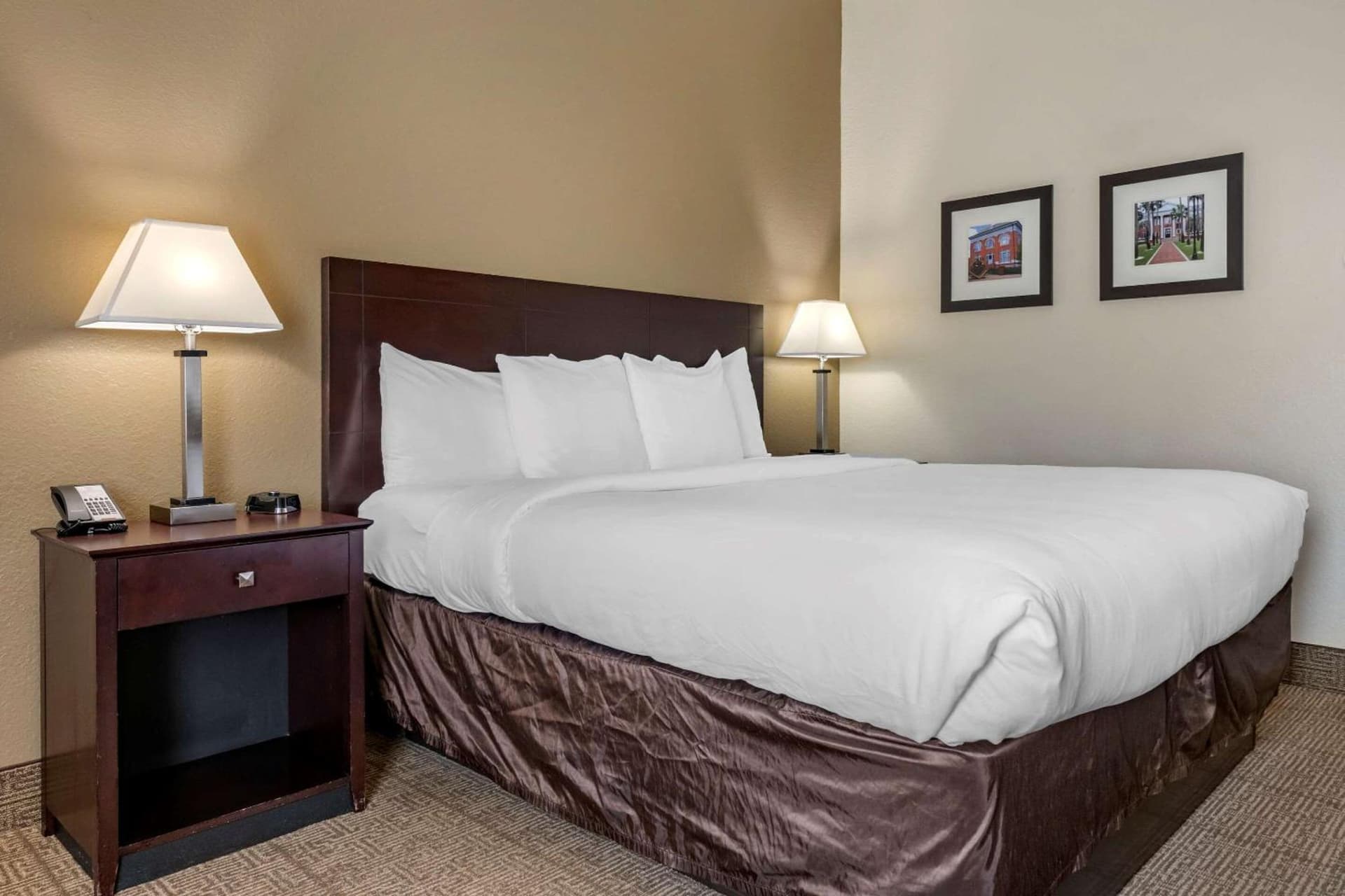 Comfort Inn & Suites DeLand - near University gallery photo in DeLand, FL — image 5