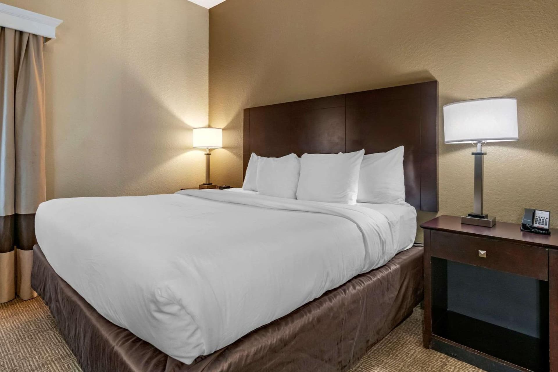 Comfort Inn & Suites DeLand - near University gallery photo in DeLand, FL — image 24