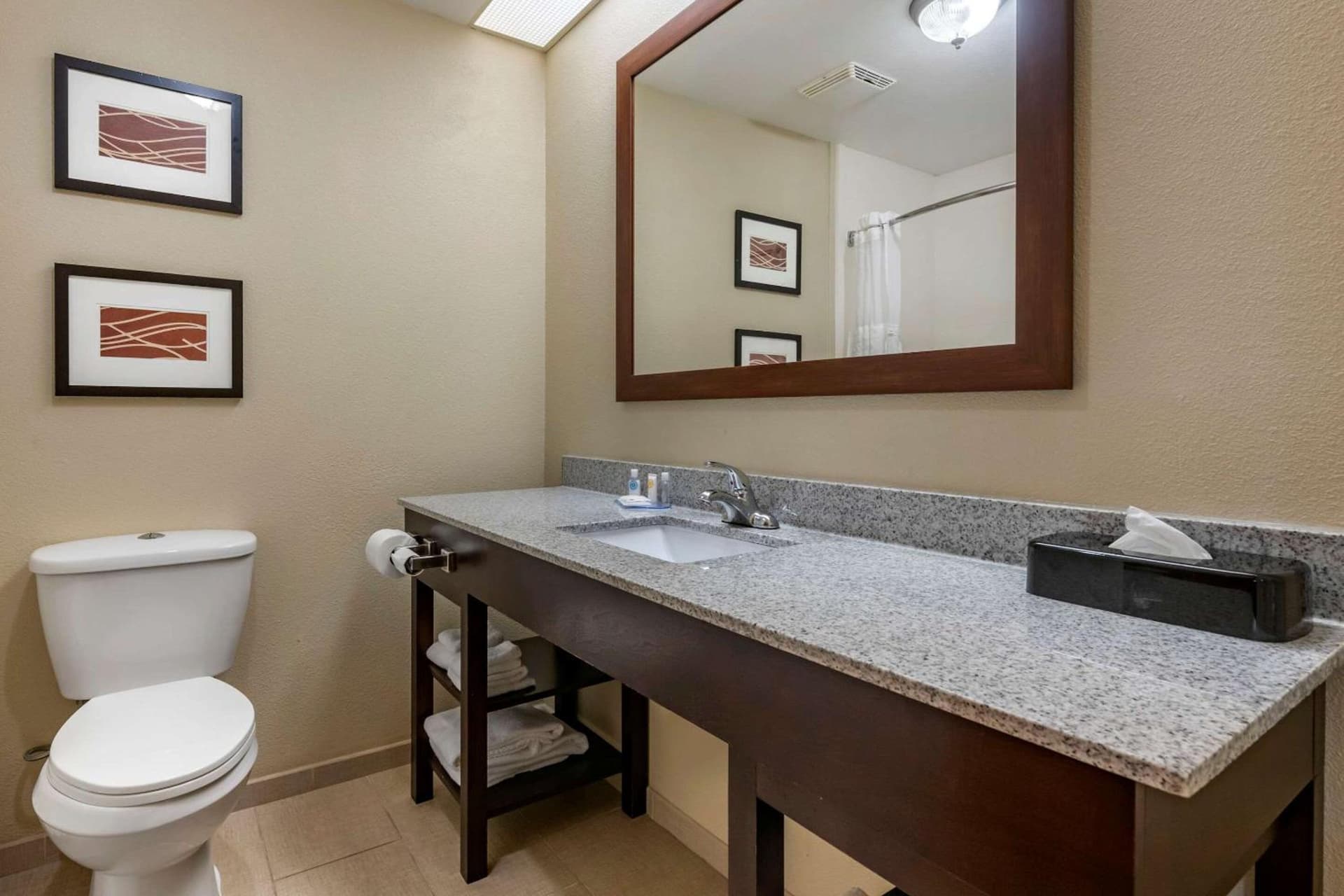 Comfort Inn & Suites DeLand - near University gallery photo in DeLand, FL — image 6