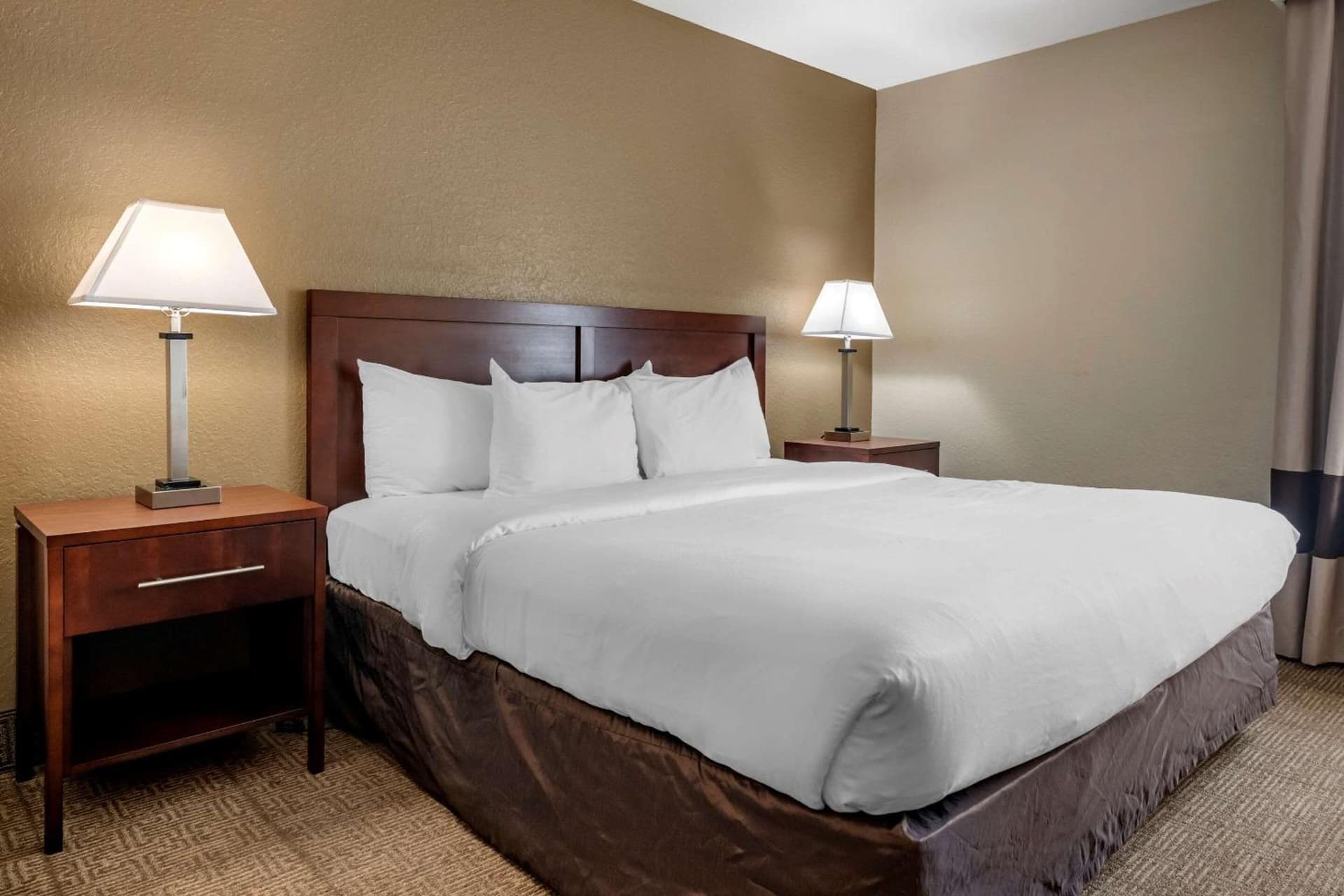Comfort Inn & Suites DeLand - near University gallery photo in DeLand, FL — image 13