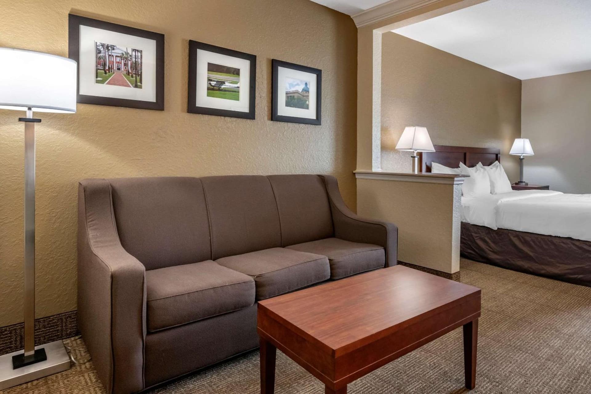 Comfort Inn & Suites DeLand - near University gallery photo in DeLand, FL — image 8