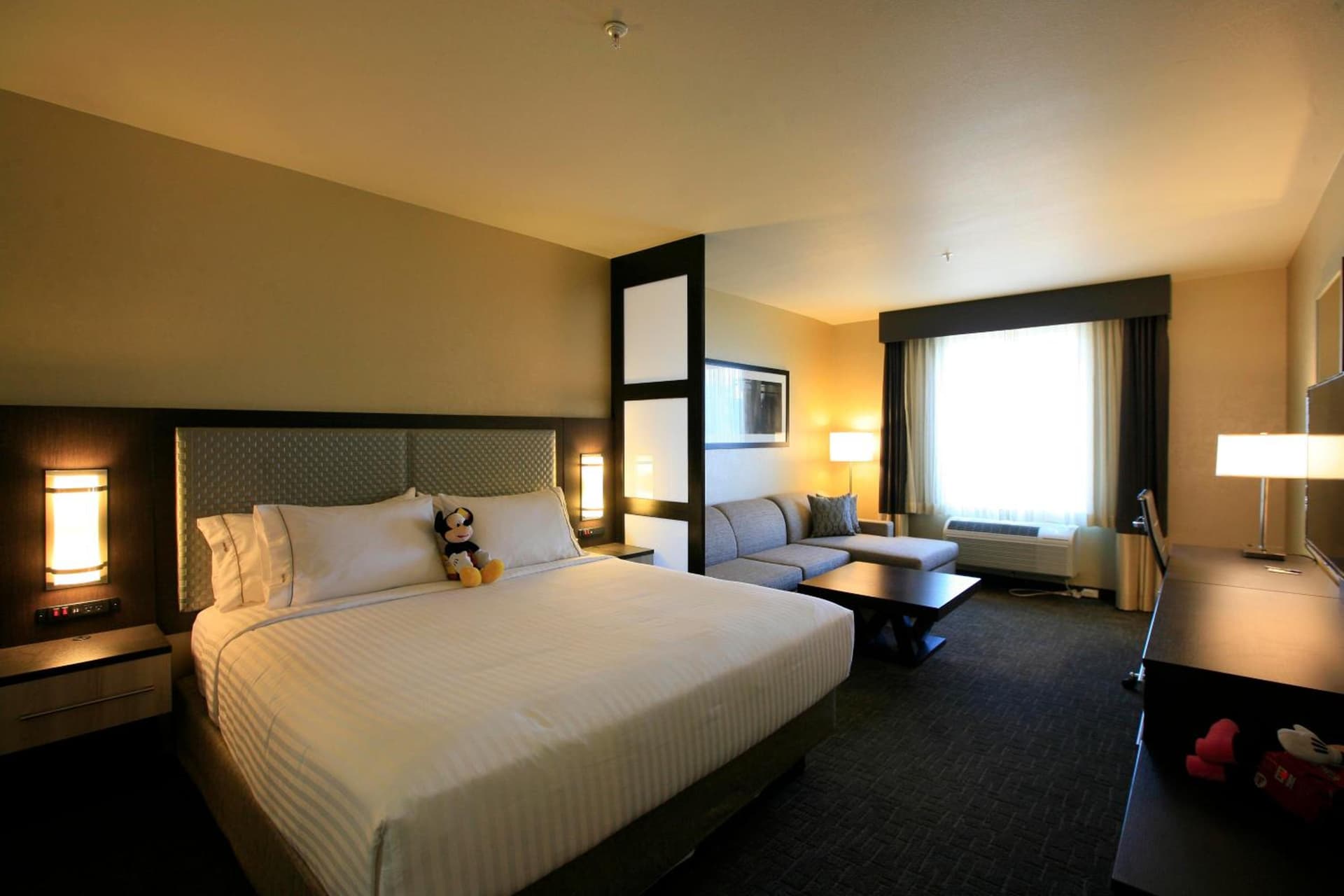 Holiday Inn Express & Suites Anaheim Resort Area by IHG gallery photo in Anaheim, CA — image 23