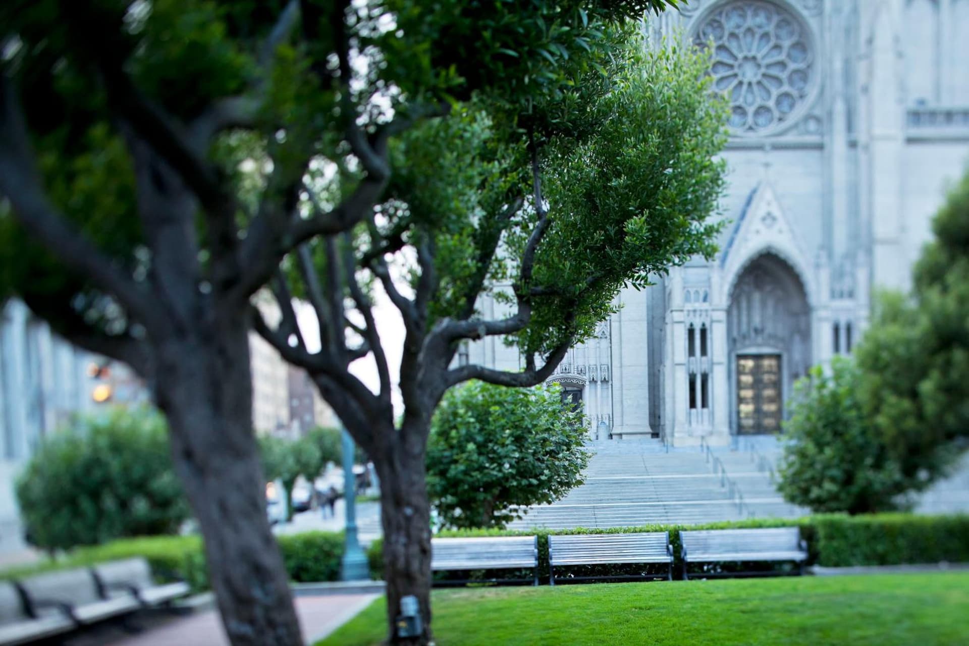 Stanford Court San Francisco gallery photo in San Francisco, CA — image 10