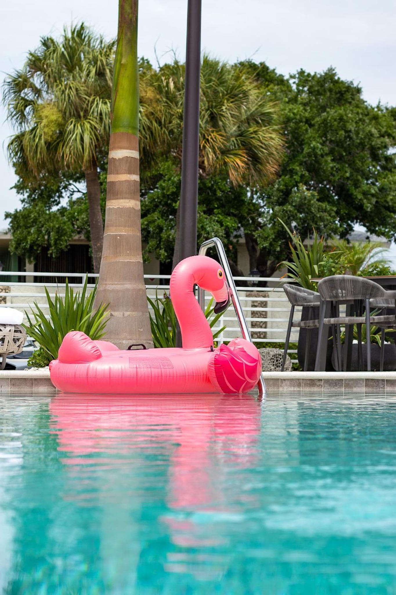 The Saint Hotel gallery photo in St Pete Beach, FL — image 25