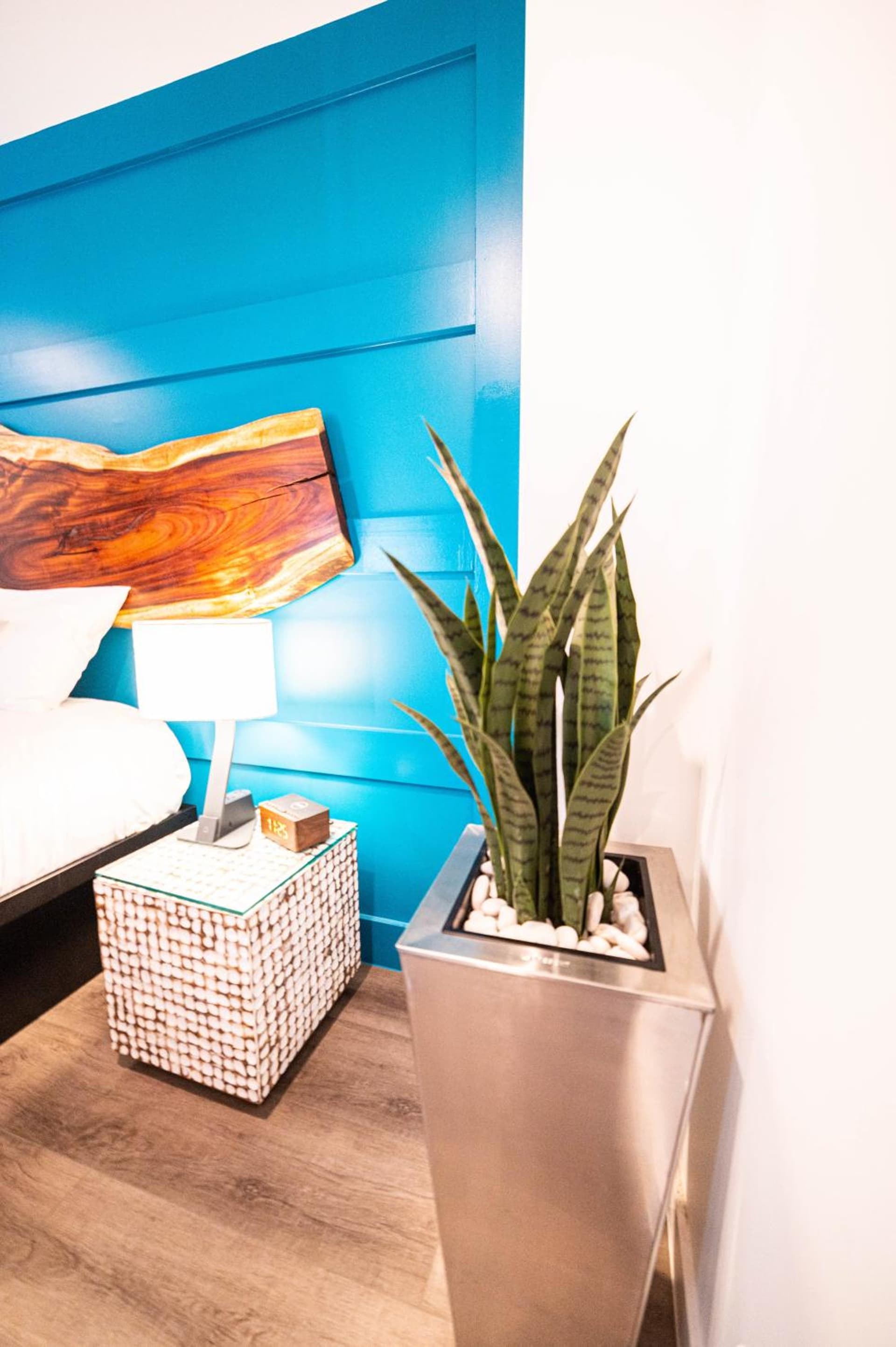 The Saint Hotel gallery photo in St Pete Beach, FL — image 236