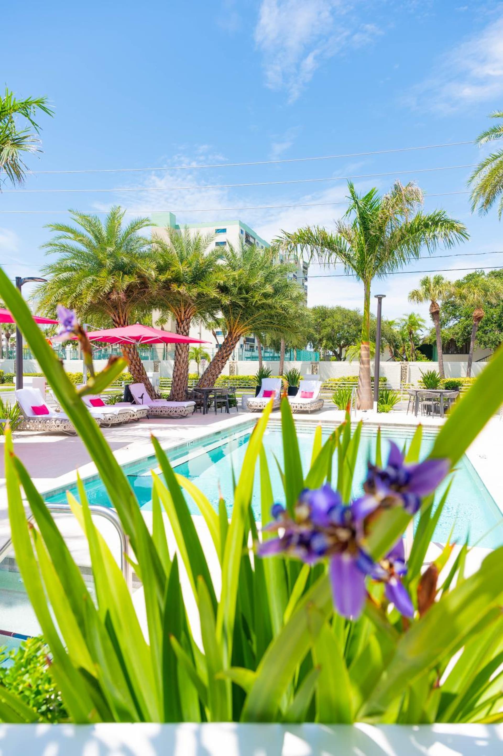 The Saint Hotel gallery photo in St Pete Beach, FL — image 190