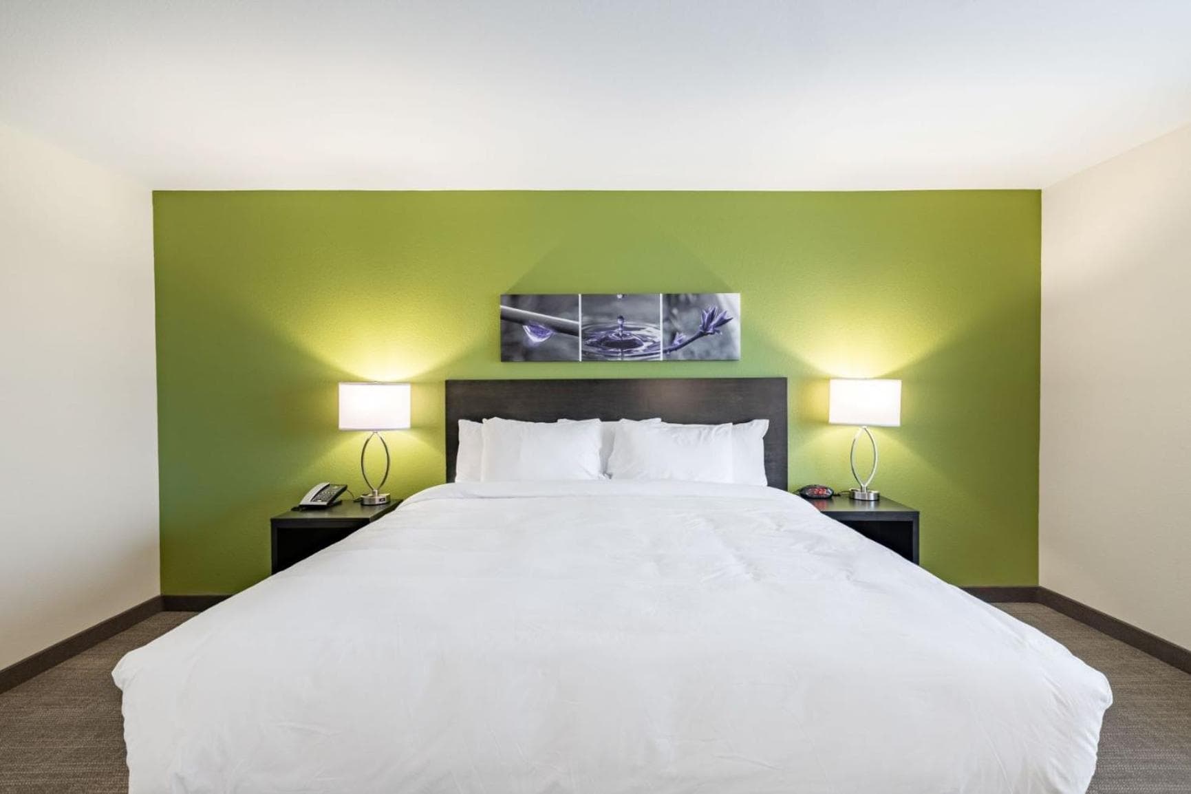Sleep Inn & Suites Mt Hope near Auction & Event Center gallery photo in Millersburg, OH — image 27