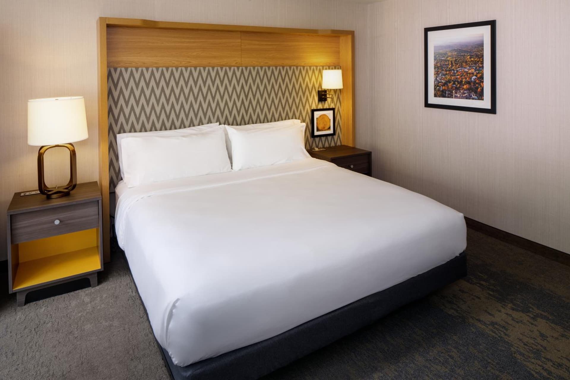 Holiday Inn Express & Suites Charlottesville by IHG gallery photo in Charlottesville, VA — image 132