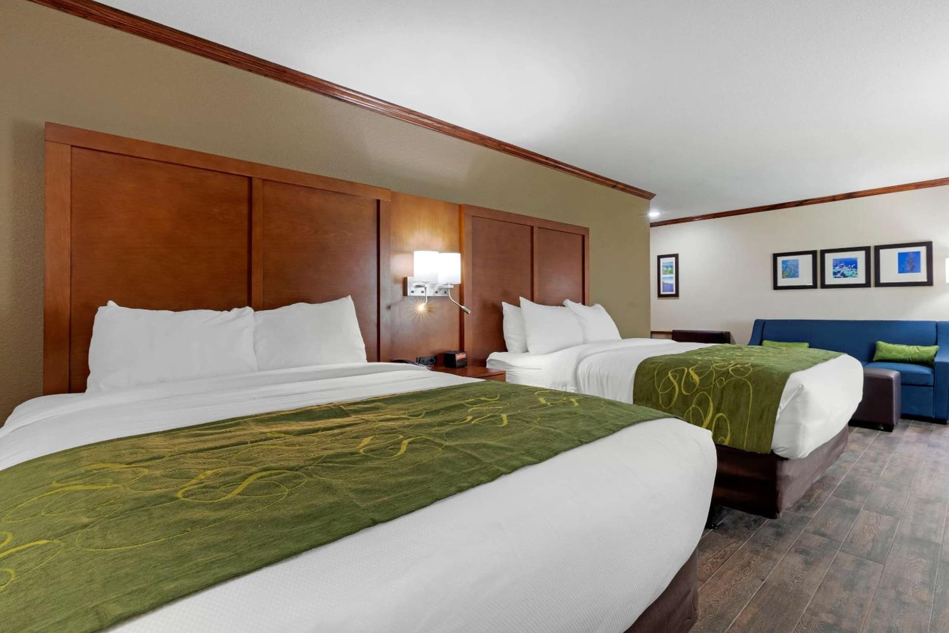 Comfort Suites West Monroe near Ike Hamilton Expo Center gallery photo in West Monroe, LA — image 66