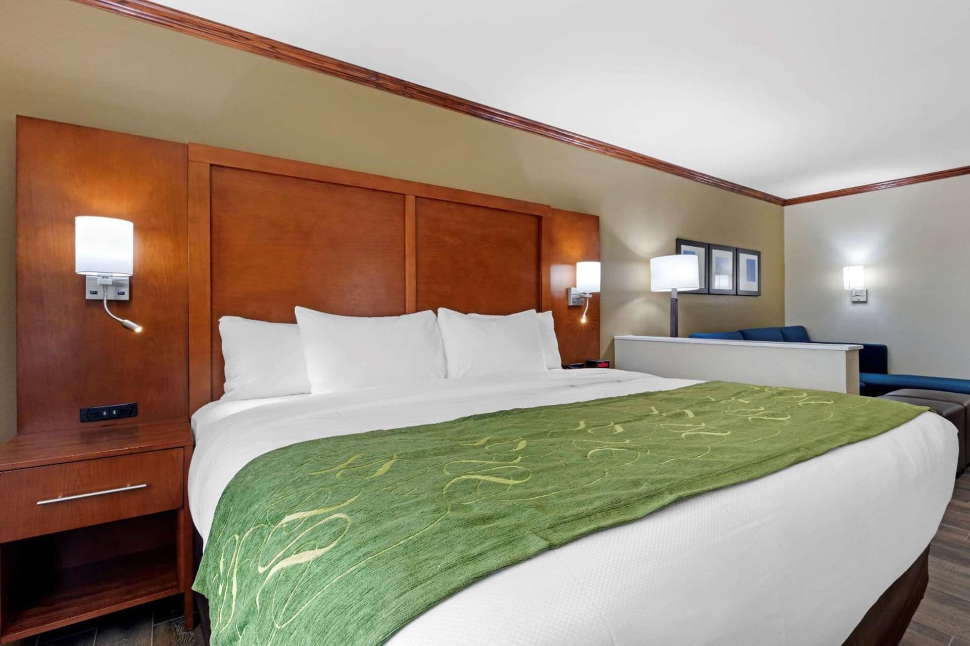 Comfort Suites West Monroe near Ike Hamilton Expo Center gallery photo in West Monroe, LA — image 45