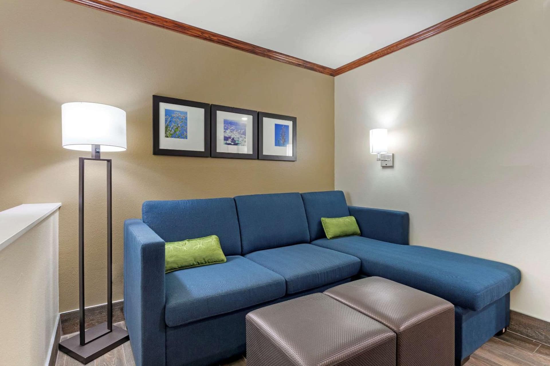 Comfort Suites West Monroe near Ike Hamilton Expo Center gallery photo in West Monroe, LA — image 8