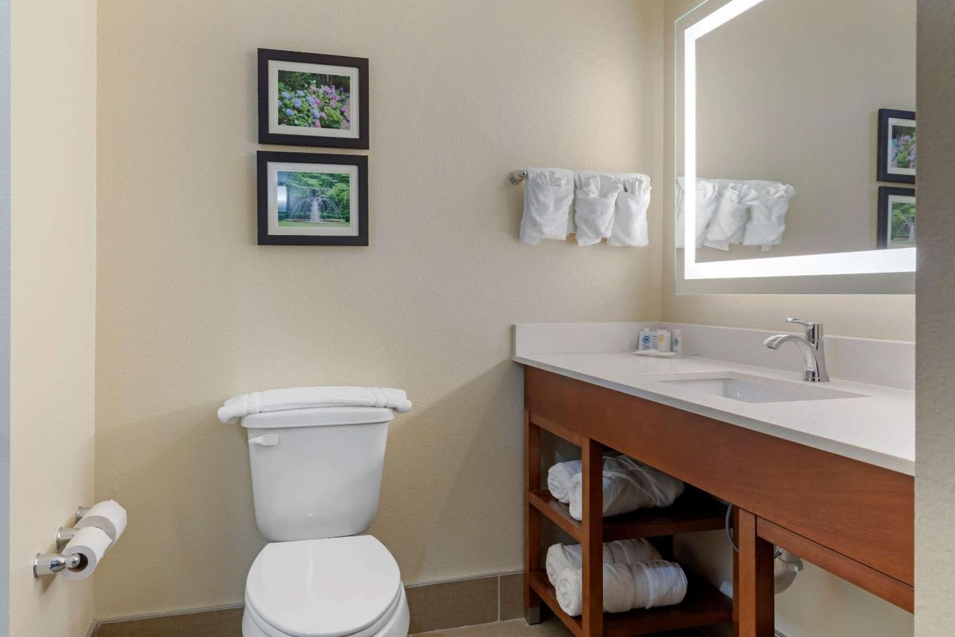 Comfort Suites West Monroe near Ike Hamilton Expo Center gallery photo in West Monroe, LA — image 79