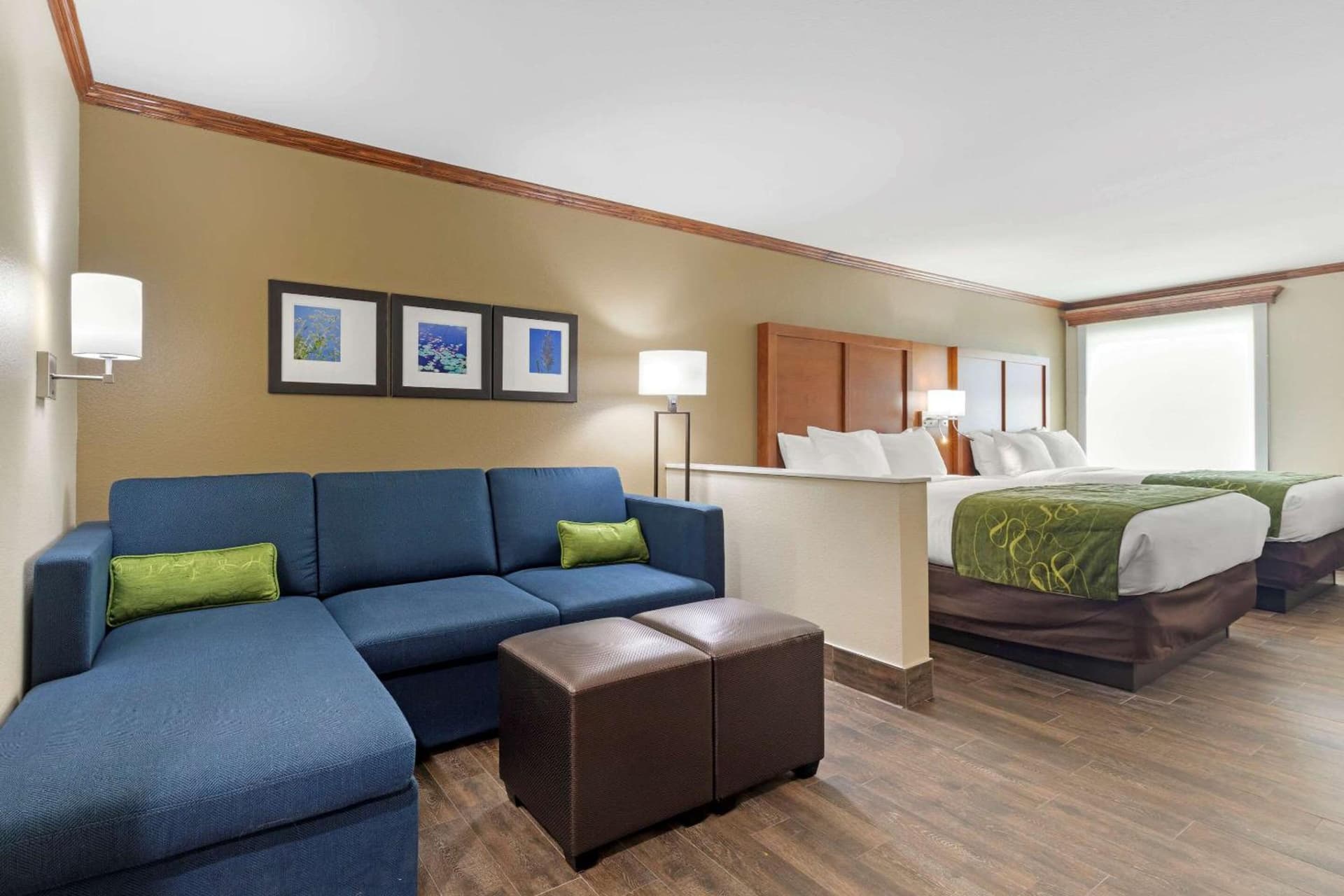 Comfort Suites West Monroe near Ike Hamilton Expo Center gallery photo in West Monroe, LA — image 92