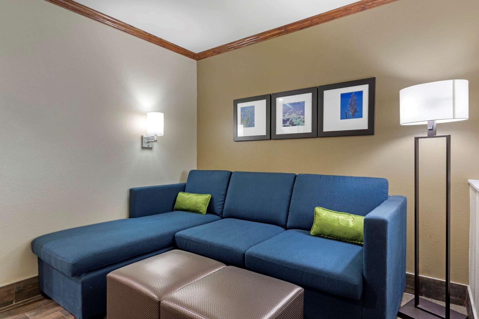 Comfort Suites West Monroe near Ike Hamilton Expo Center gallery photo in West Monroe, LA — image 31
