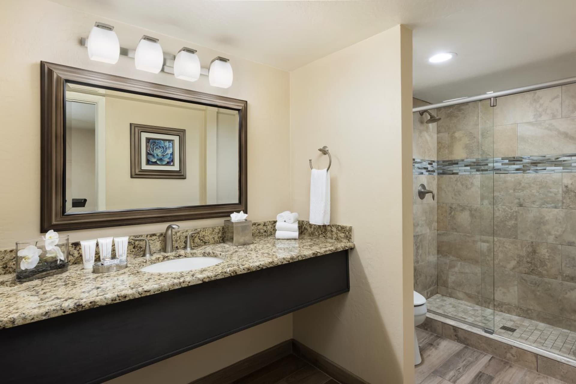 Kimpton Miralina Resort and Villas by IHG gallery photo in Scottsdale, AZ — image 13