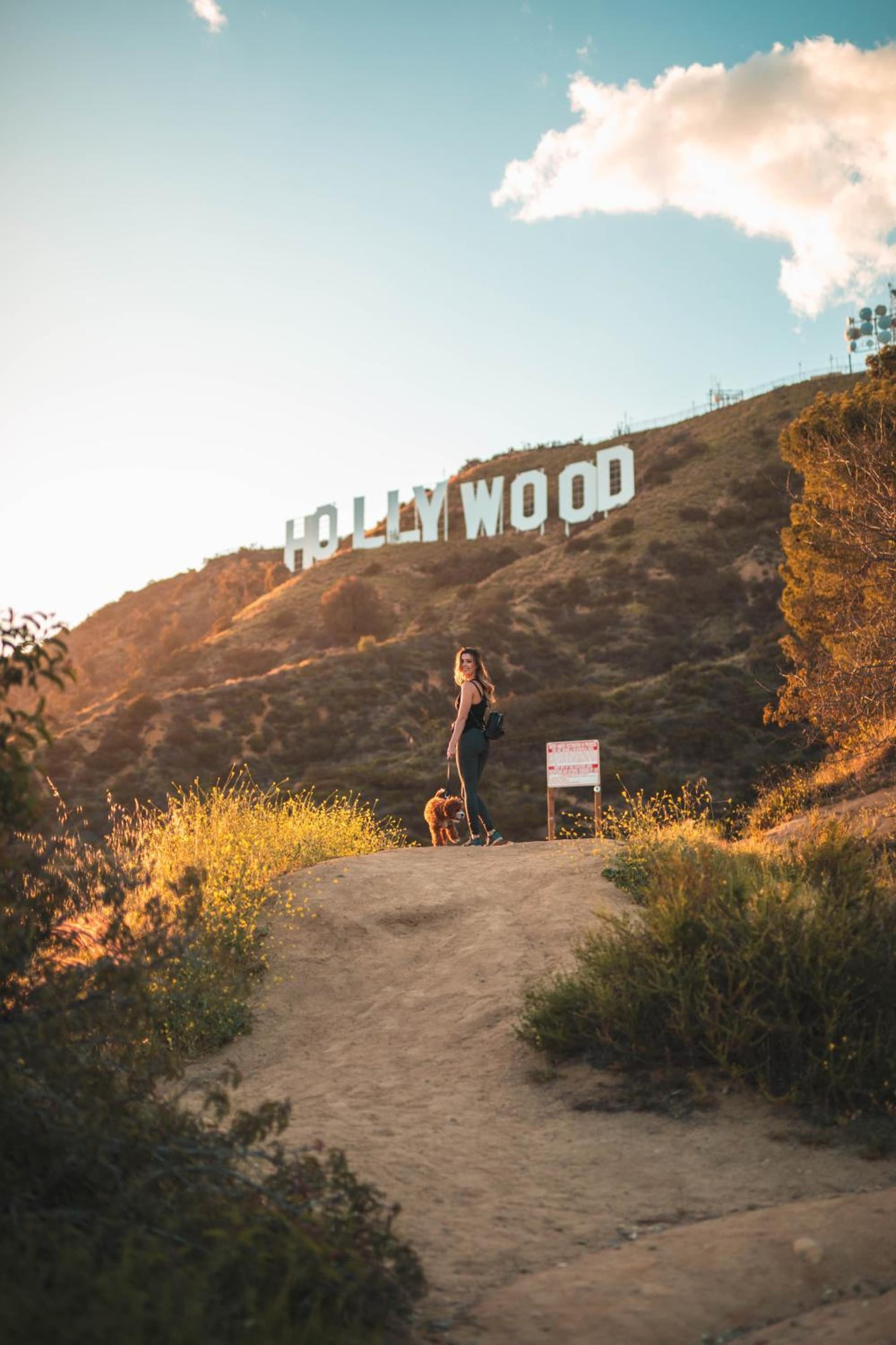 Montrose at Beverly Hills gallery photo in Los Angeles, CA — image 19