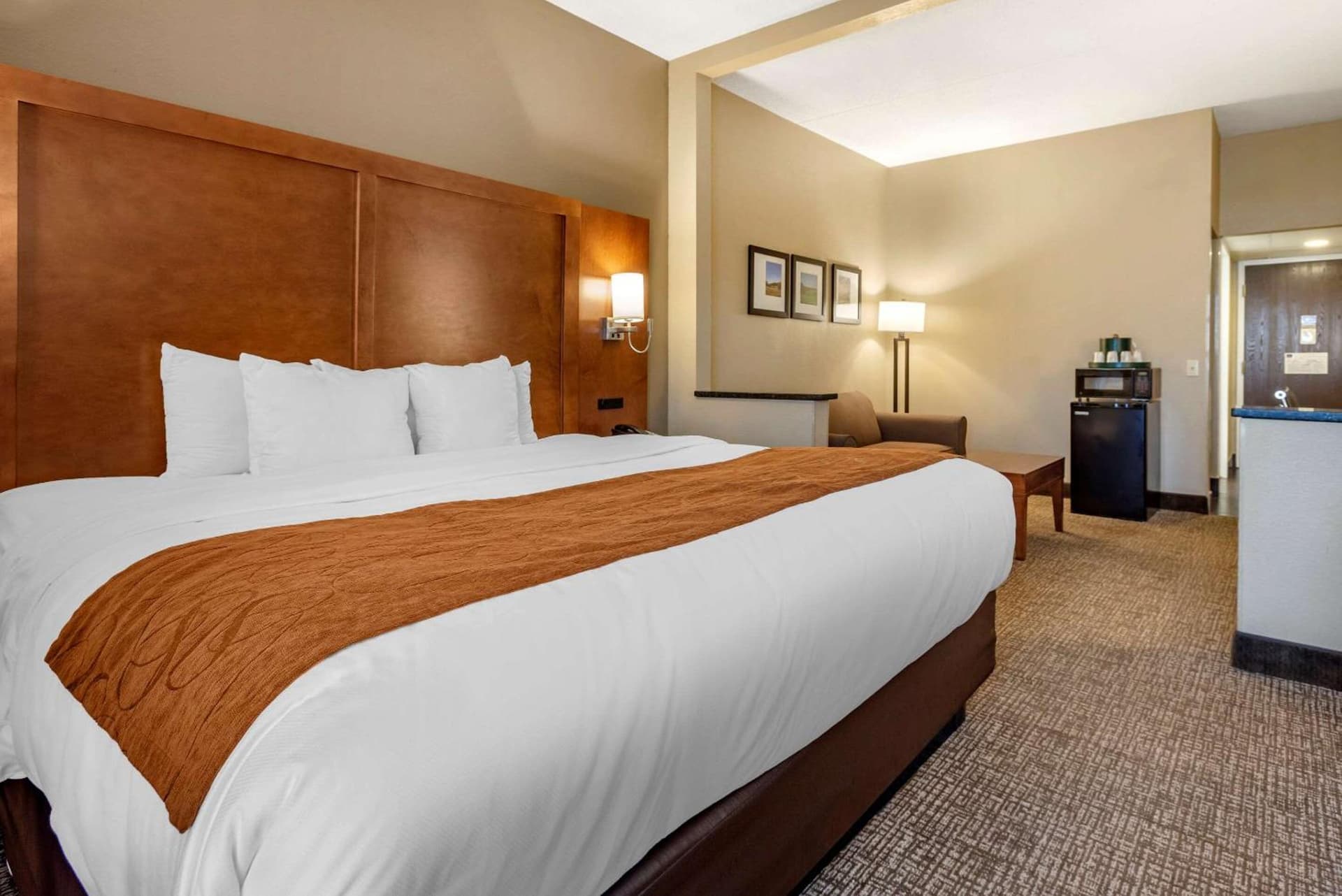 Comfort Suites Bethlehem Near Lehigh University and LVI Airport gallery photo in Bethlehem, PA — image 25