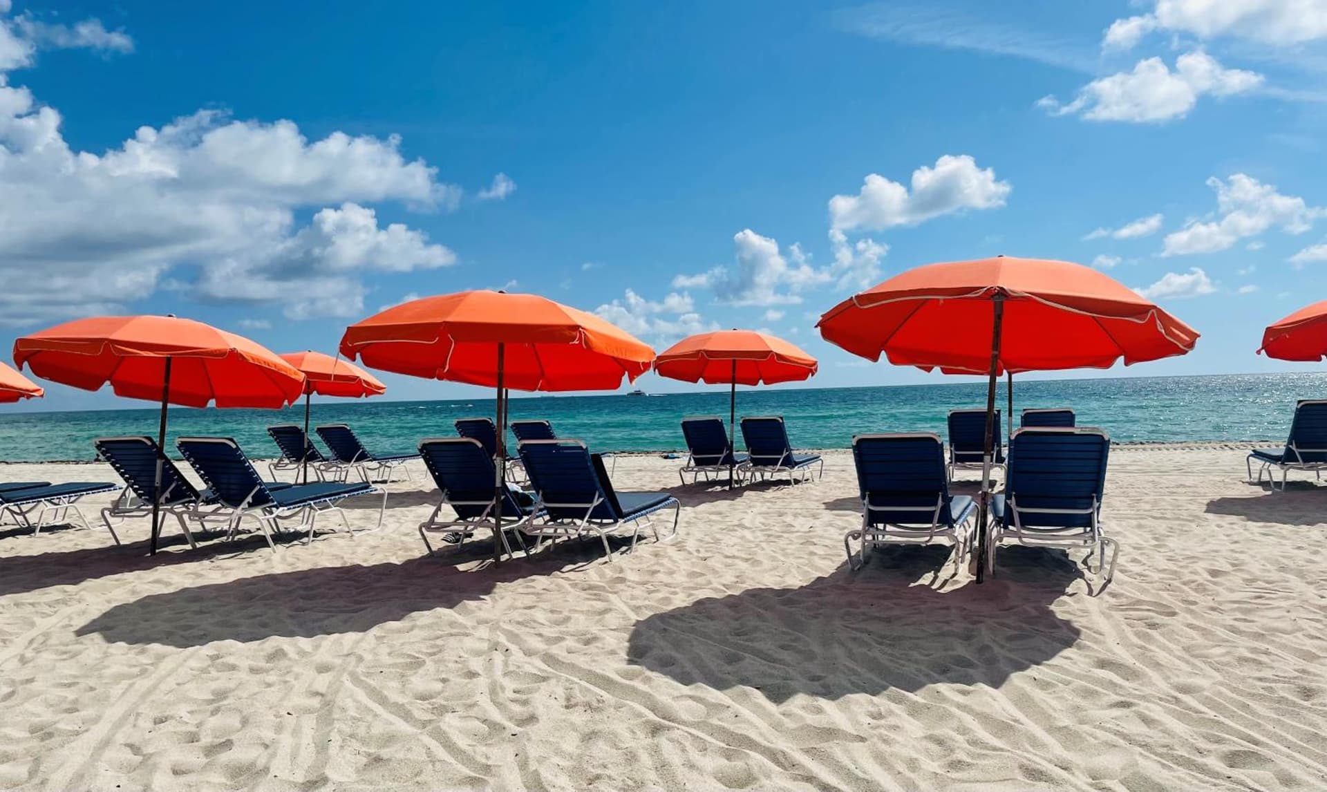 Circa 39 Miami Beach gallery photo in Miami Beach, FL — image 33