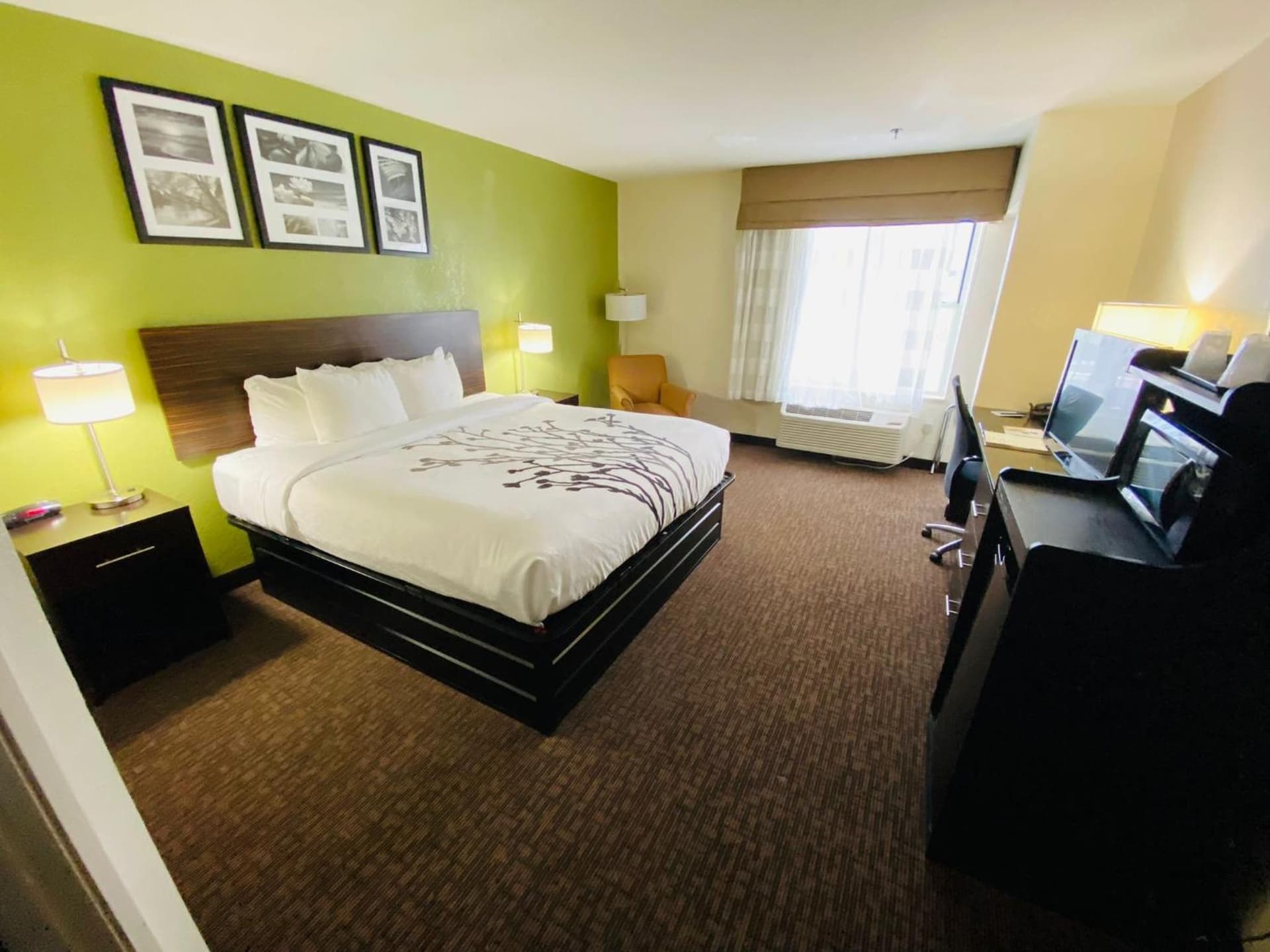 Sleep Inn & Suites Jacksonville near Camp Lejeune gallery photo in Jacksonville, NC — image 34