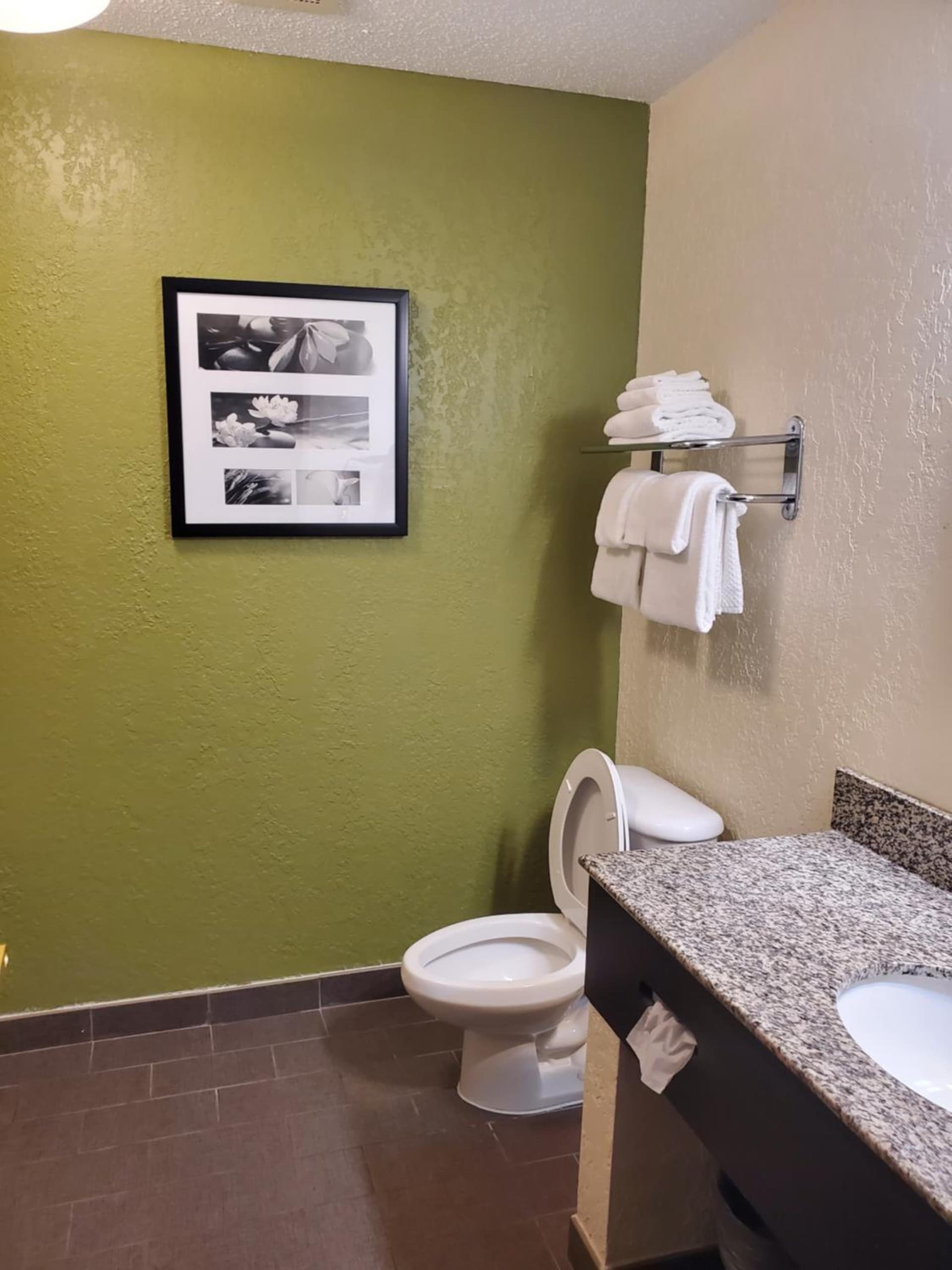 Sleep Inn & Suites Jacksonville near Camp Lejeune gallery photo in Jacksonville, NC — image 24